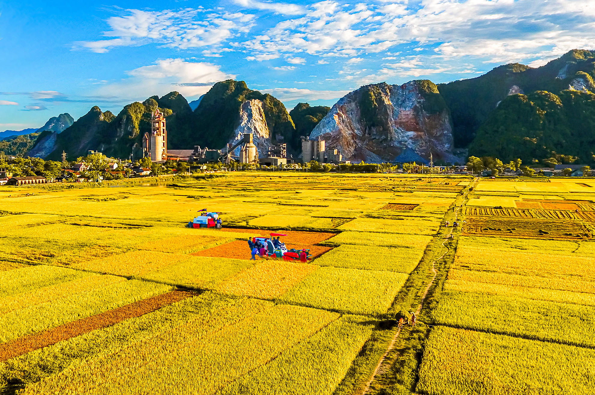 [Ảnh] Khởi sắc ở vùng quê giàu truyền thống cách mạng ảnh 7