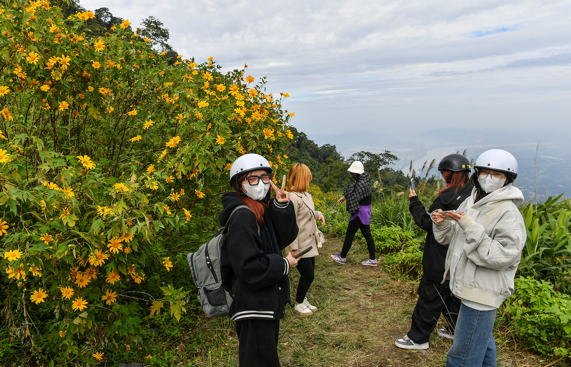 [Ảnh] Giới trẻ thích thú với rừng hoa dã quỳ ở Ba Vì ảnh 11
