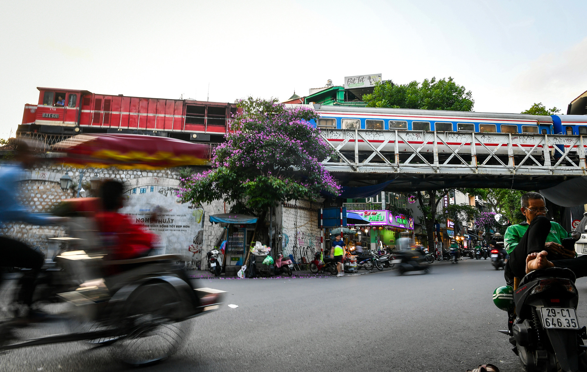 Cây bằng lăng mọc giữa phố phường đông đúc nhộn nhịp,cây bằng lăng trên phố Phùng Hưng.