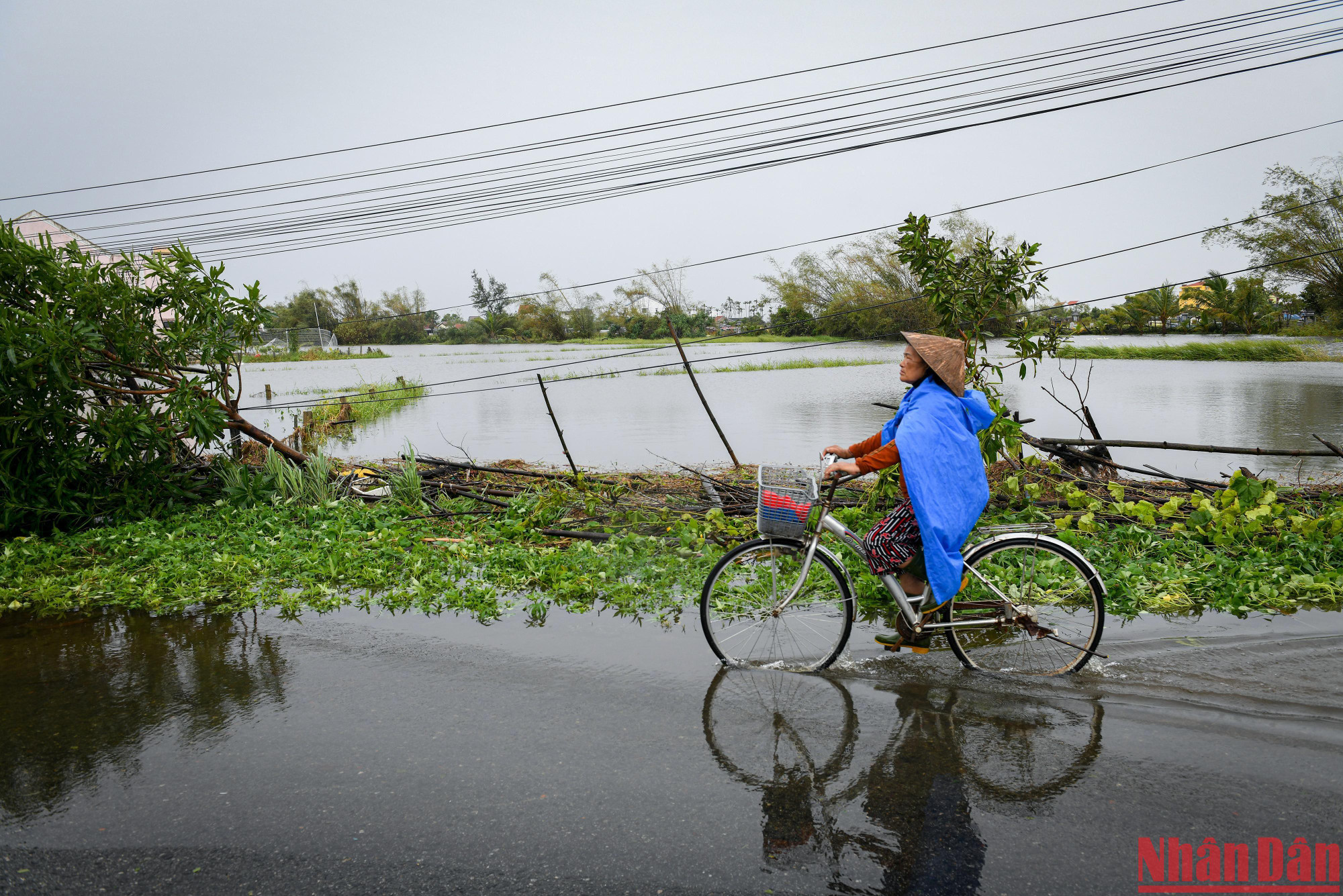 Cơn bão đã đi qua, Hội An bắt đầu xảy ra ngập úng, cây đổ và hàng rào dây điện cao thế đổ ven đường.
