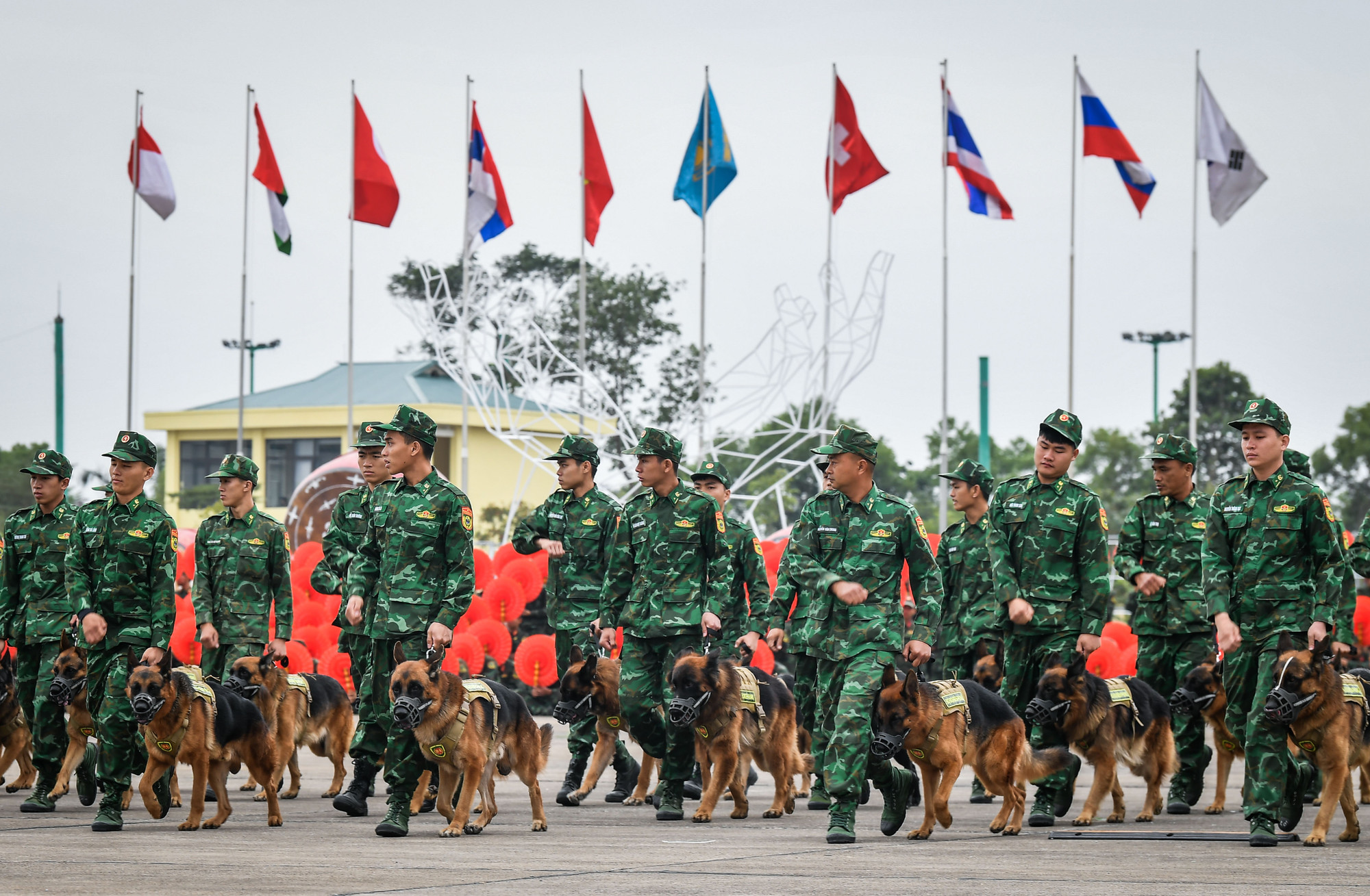 [Ảnh] Đặc công, máy bay, quân khuyển luyện tập cho sự kiện Triển lãm Quốc phòng quốc tế 2024 ảnh 12