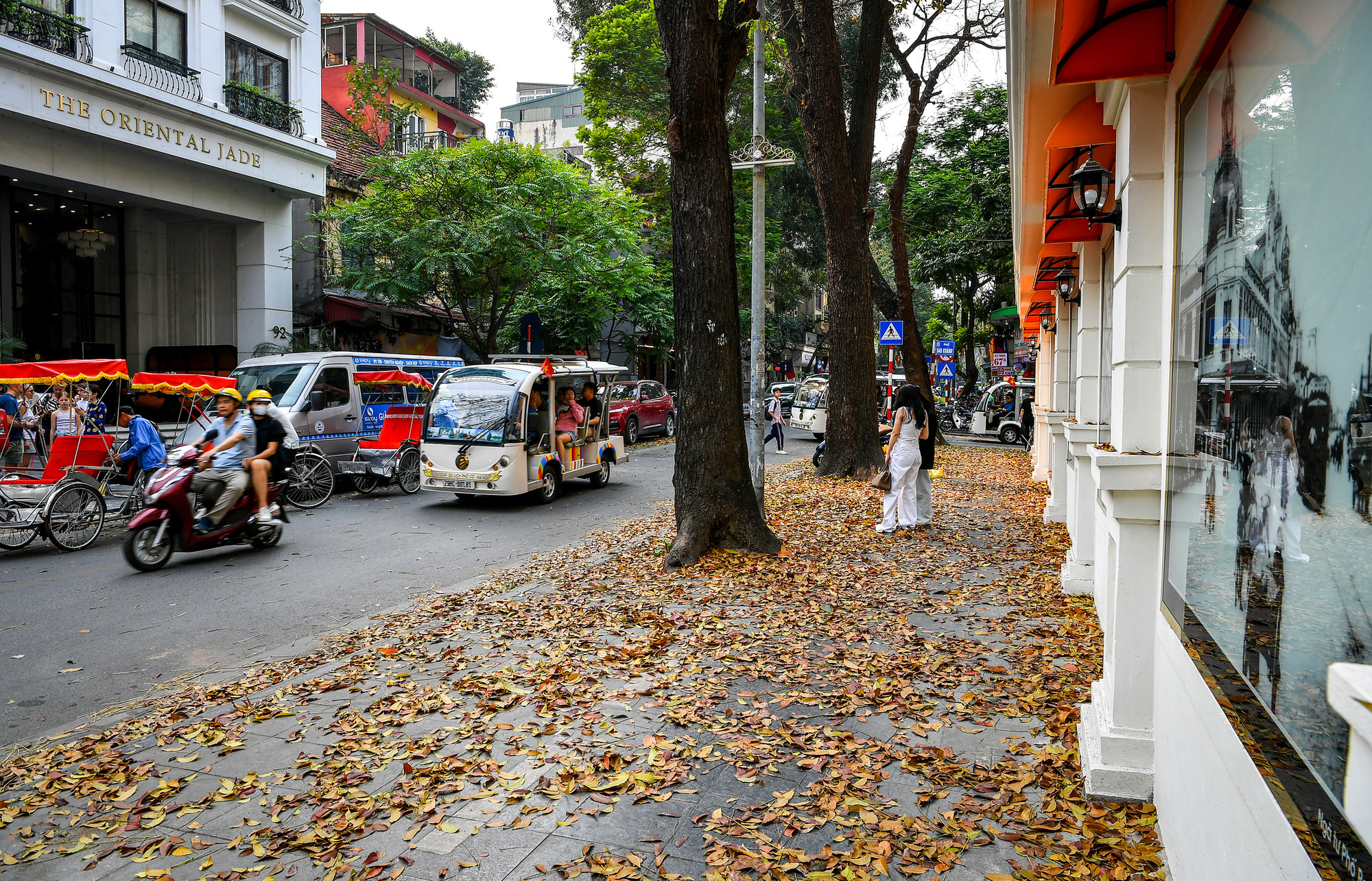 [Ảnh] "Con đường lá vàng" tuyệt đẹp bên ngoài tòa soạn Báo Nhân Dân ảnh 2