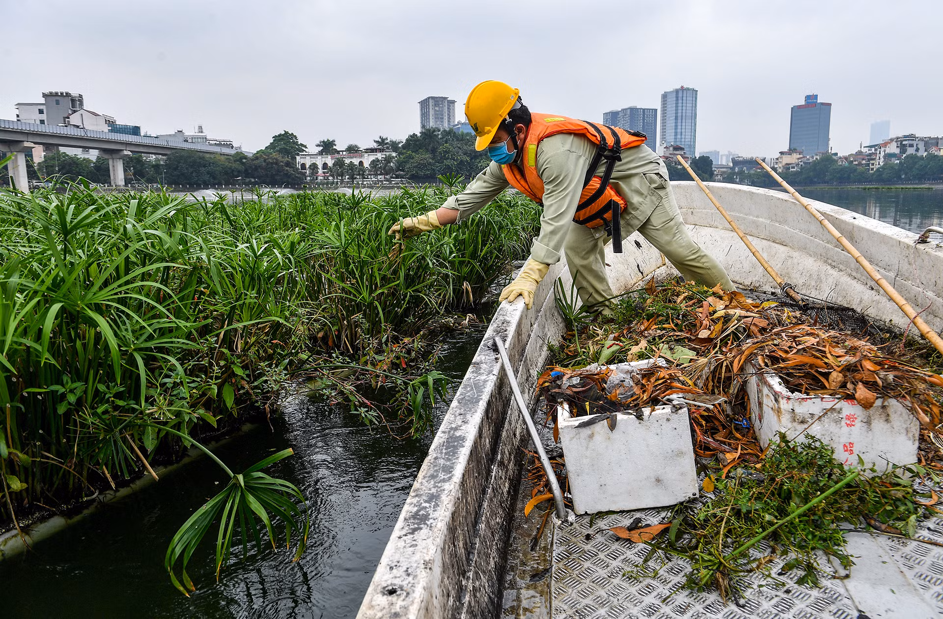[Ảnh] Thầm lặng giữ sạch những "lá phổi xanh" của Hà Nội ảnh 11