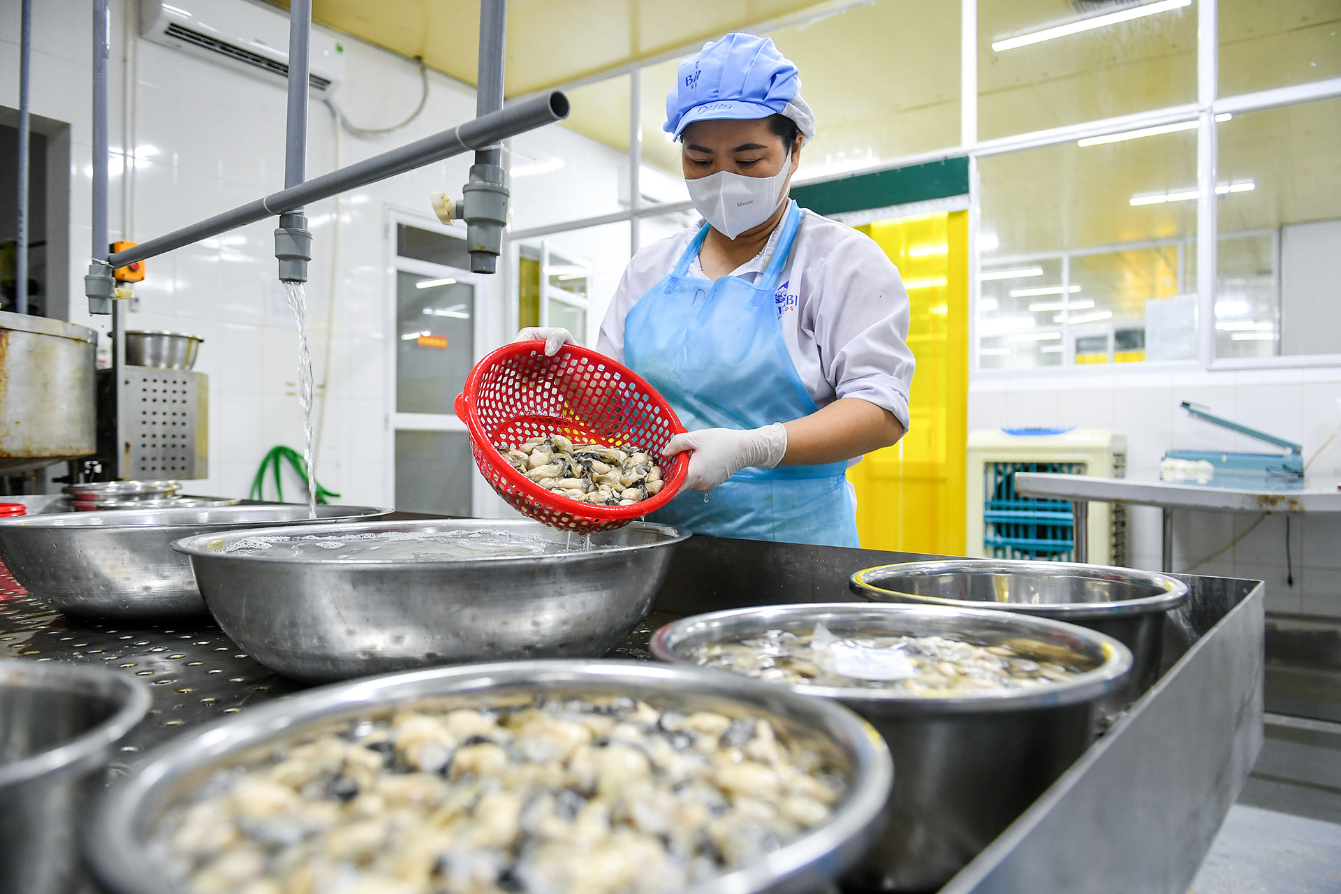 Những con hàu sau khi được chọn lượng kỹ lưỡng, đạt tiêu chuẩn sẽ được rửa sạch qua nước muối và nước RO.