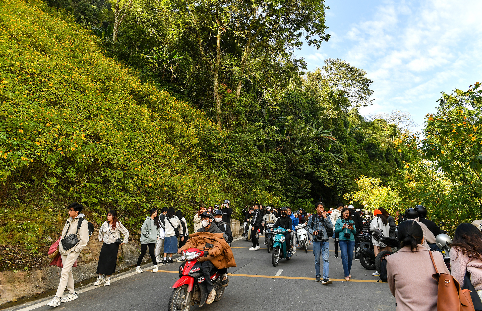 [Ảnh] Giới trẻ thích thú với rừng hoa dã quỳ ở Ba Vì ảnh 13