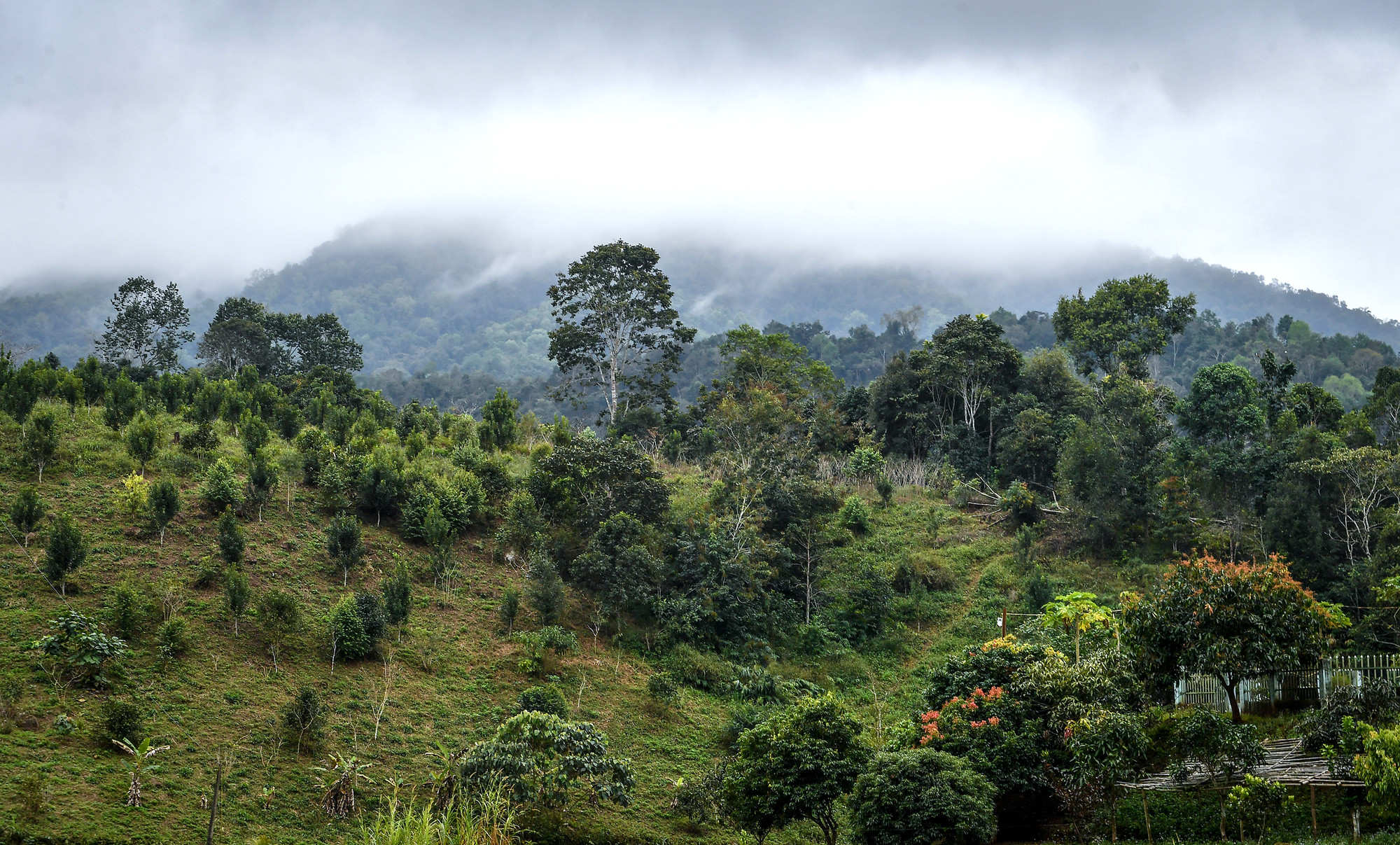 Nằm dưới chân đỉnh Khoang La San hùng vĩ, nơi đặt mốc 0 cực Tây Tổ quốc, xã Sín Thầu từng là nơi "thâm sơn, cùng thủy" của tỉnh Điện Biên.