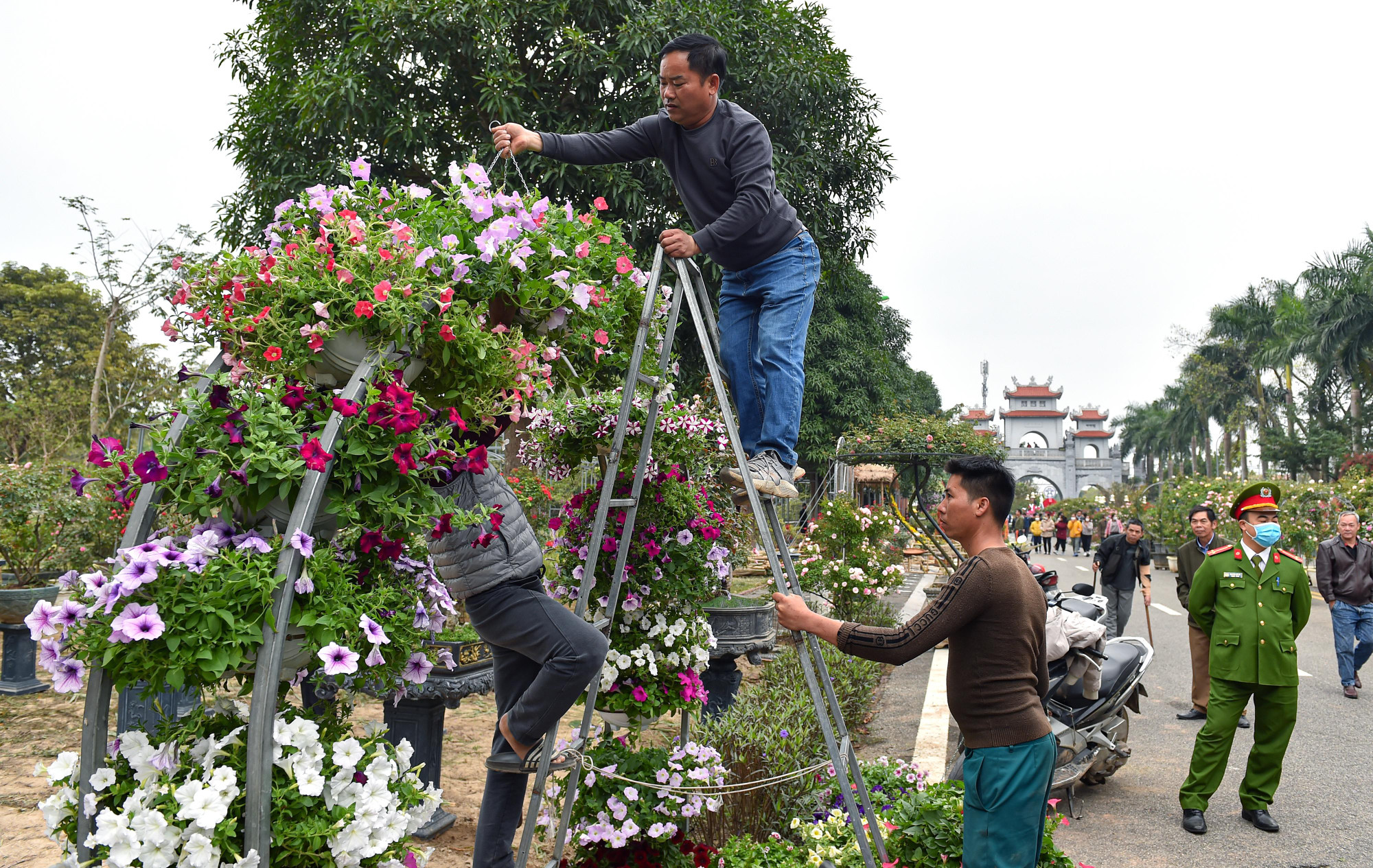 Những công tác chuẩn bị cuối cùng cho lễ hội hoa Mê Linh đang được hoàn tất.
