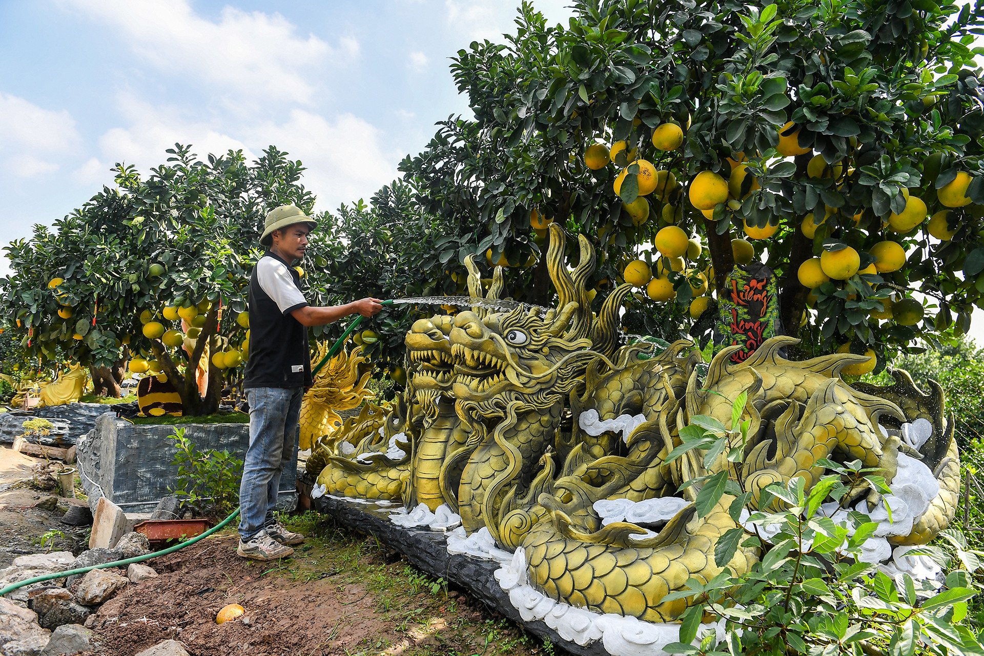 Anh Năng một nhà vườn ở Hưng Yên đã chế tác các chậu đựng bưởi bằng xi măng thành hình dáng các con vật khổng lồ như rồng, cá, trâu, ngựa, xe ô tô... bán với giá hàng trăm triệu đồng phục vụ khách dịp Tết năm nay.