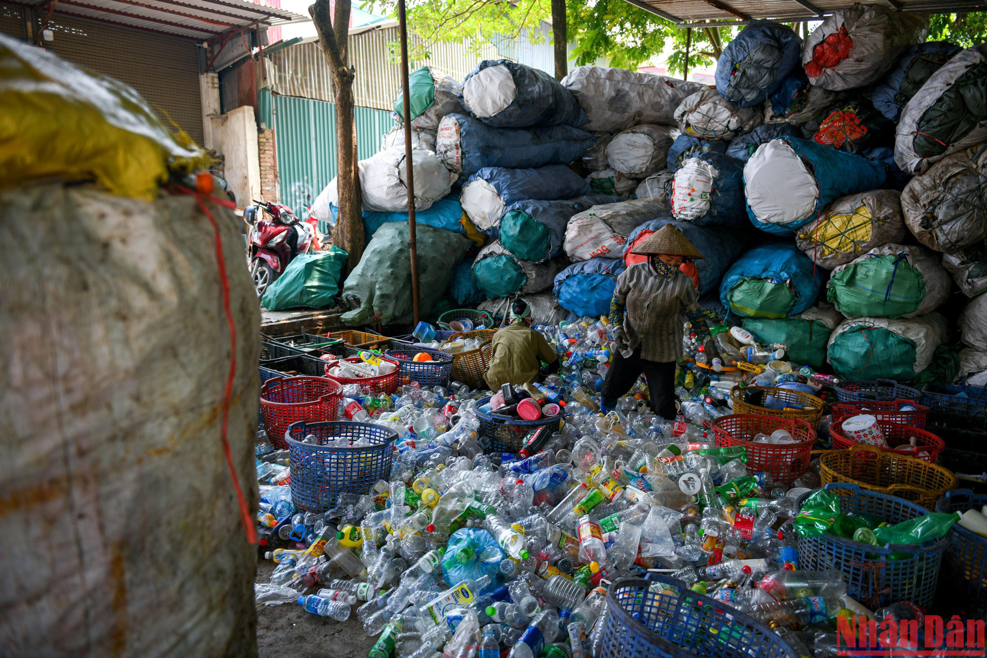 Bà My, 55 tuổi nhưng đã có đến gần 20 năm "mưu sinh" cùng chai lọ nhựa. Ngày ngày, bà rời nhà từ 6 giờ sáng để... vào ca. Công việc chính của bà là phân loại phế liệu nhựa theo từng loại riêng biệt.