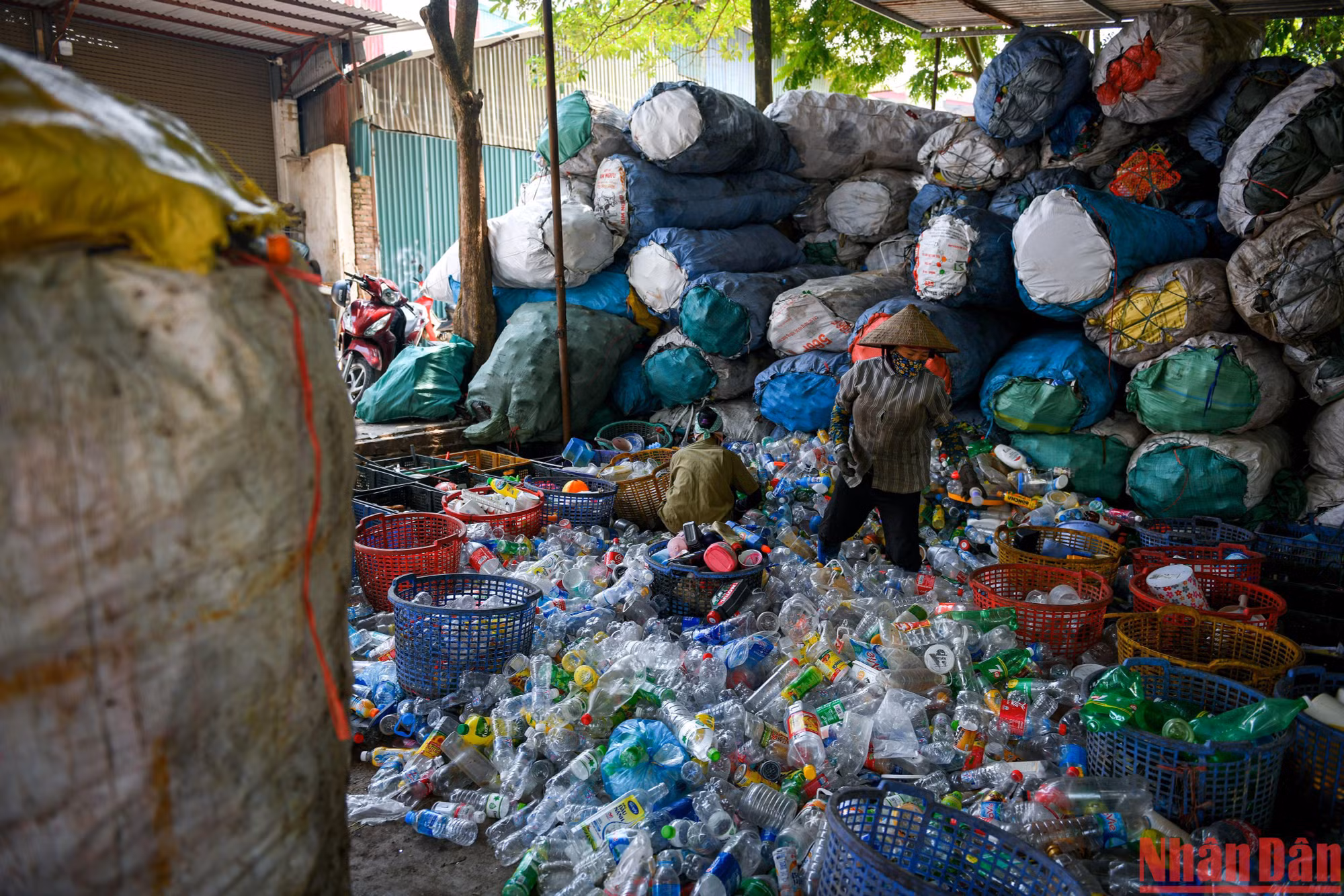 Bà My, 55 tuổi nhưng đã có đến gần 20 năm "mưu sinh" cùng chai lọ nhựa. Ngày ngày, bà rời nhà từ 6 giờ sáng để... vào ca. Công việc chính của bà là phân loại phế liệu nhựa theo từng loại riêng biệt. Bà My, 55 tuổi nhưng đã có đến gần 20 năm "mưu sinh" cùng chai lọ nhựa. Ngày ngày, bà rời nhà từ 6 giờ sáng để... vào ca. Công việc chính của bà là phân loại phế liệu nhựa theo từng loại riêng biệt.