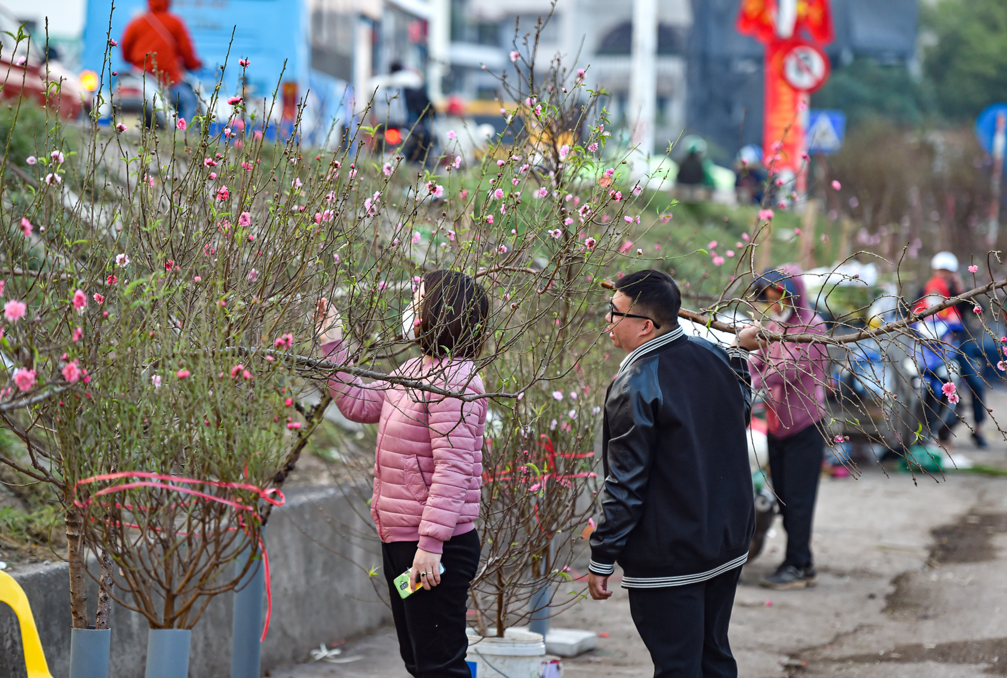 Những cành đào nở sớm bắt đầu được bày bán nhiều hơn tại chợ hoa Quảng An.