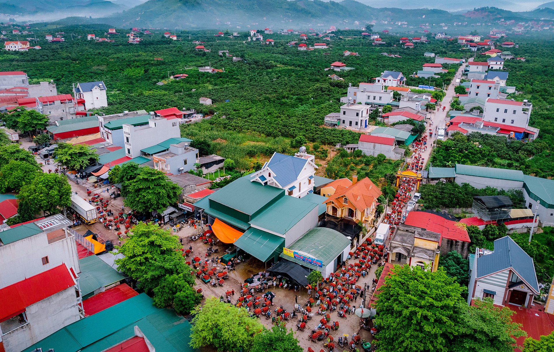 [Ảnh] Vải thiều Lục Ngạn, sản phẩm OCOP nổi tiếng của Bắc Giang ảnh 6