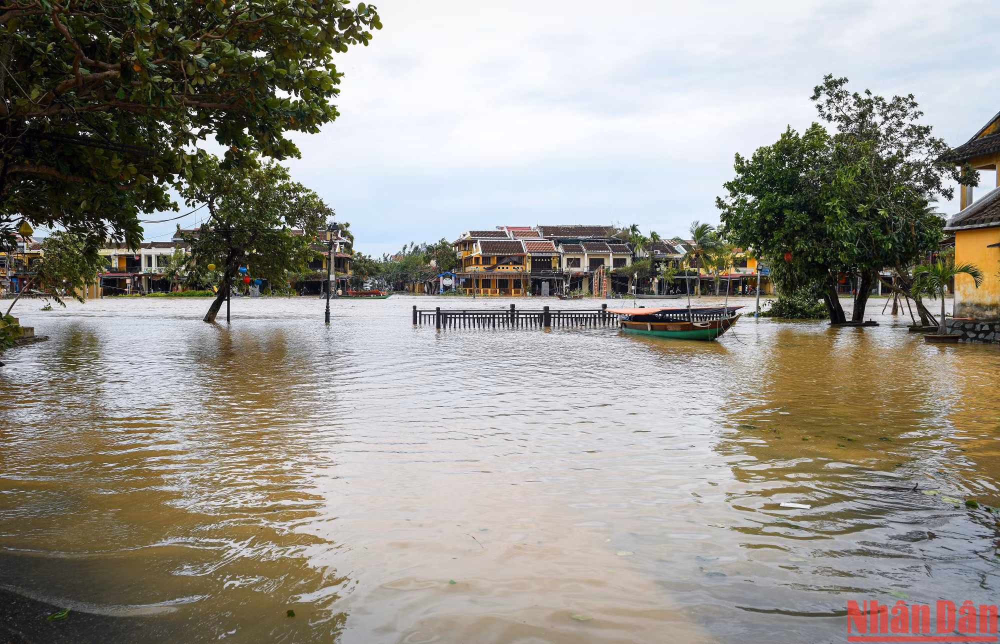 Tại phố cổ Hội An, cây đổ khắp các tuyến đường. Trong đó, một số tuyến đường ngập nặng như Bạch Đằng, Hai Bà Trưng, Trần Hưng Đạo...