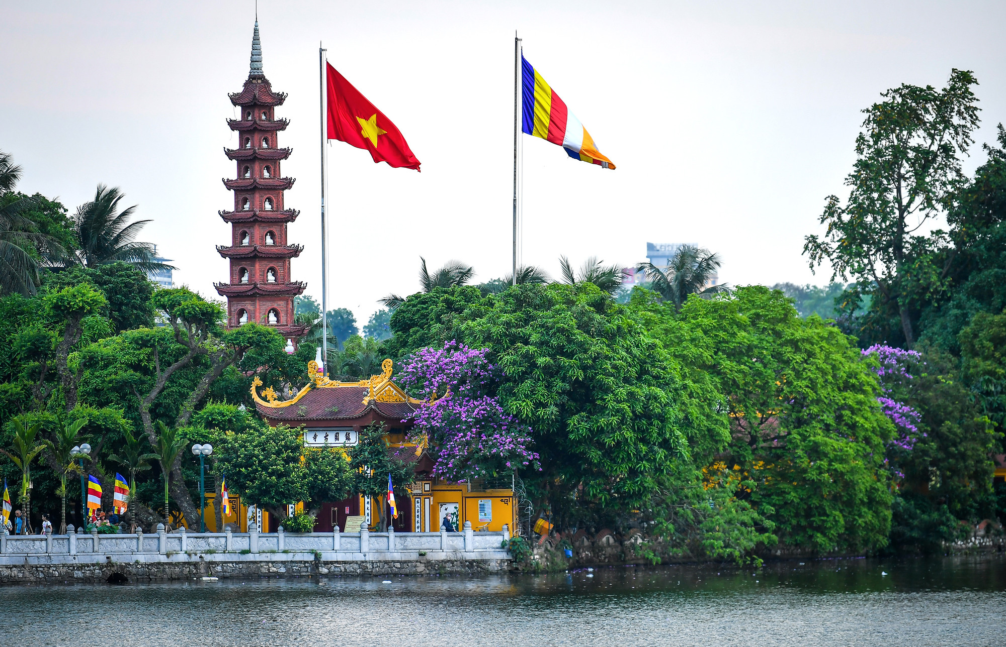 Sắc tím bằng lăng tại chùa Trấn Quốc.