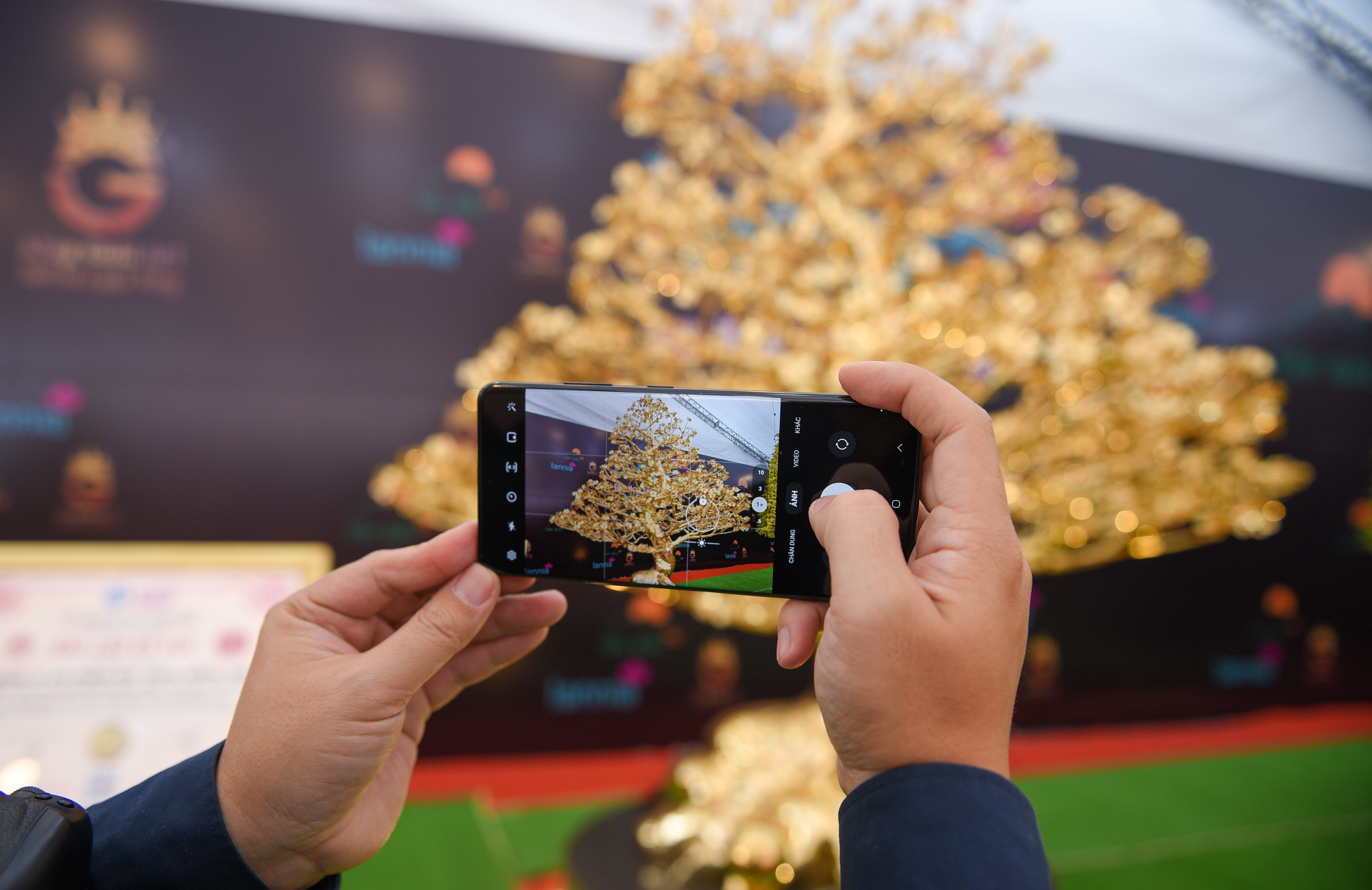 Cây mai mạ vàng 24k thu hút nhiều người dân đến tham quan, chụp ảnh.