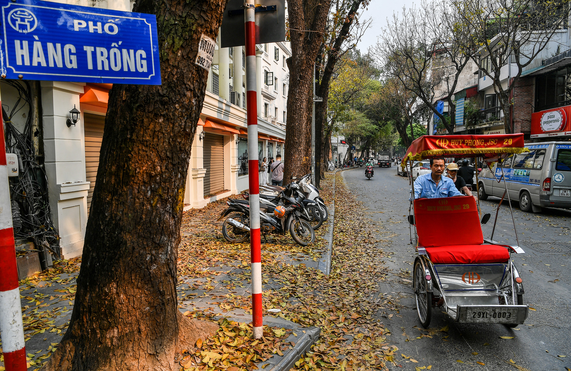 [Ảnh] "Con đường lá vàng" tuyệt đẹp bên ngoài tòa soạn Báo Nhân Dân ảnh 6