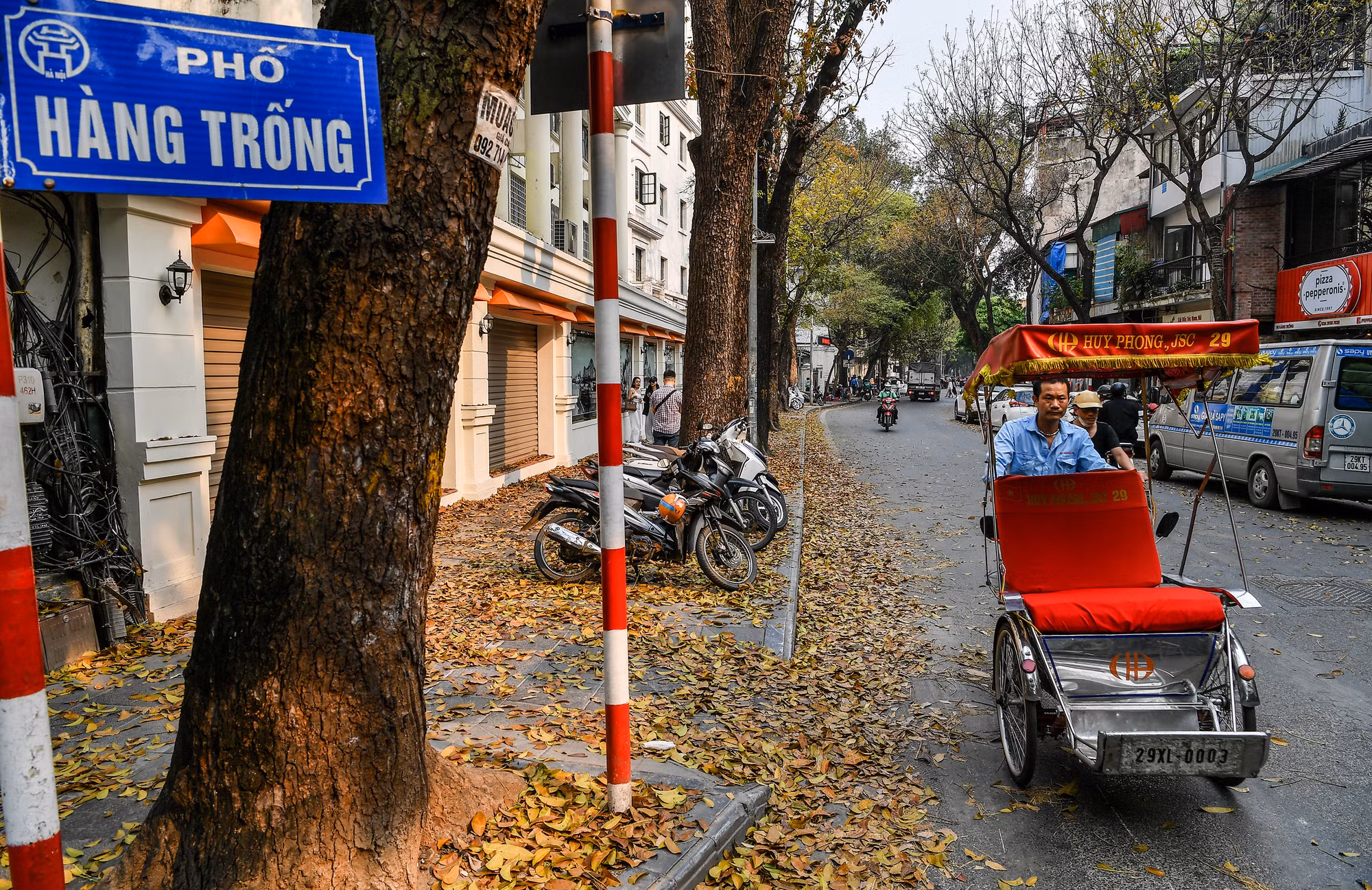[Ảnh] "Con đường lá vàng" tuyệt đẹp bên ngoài tòa soạn Báo Nhân Dân ảnh 6