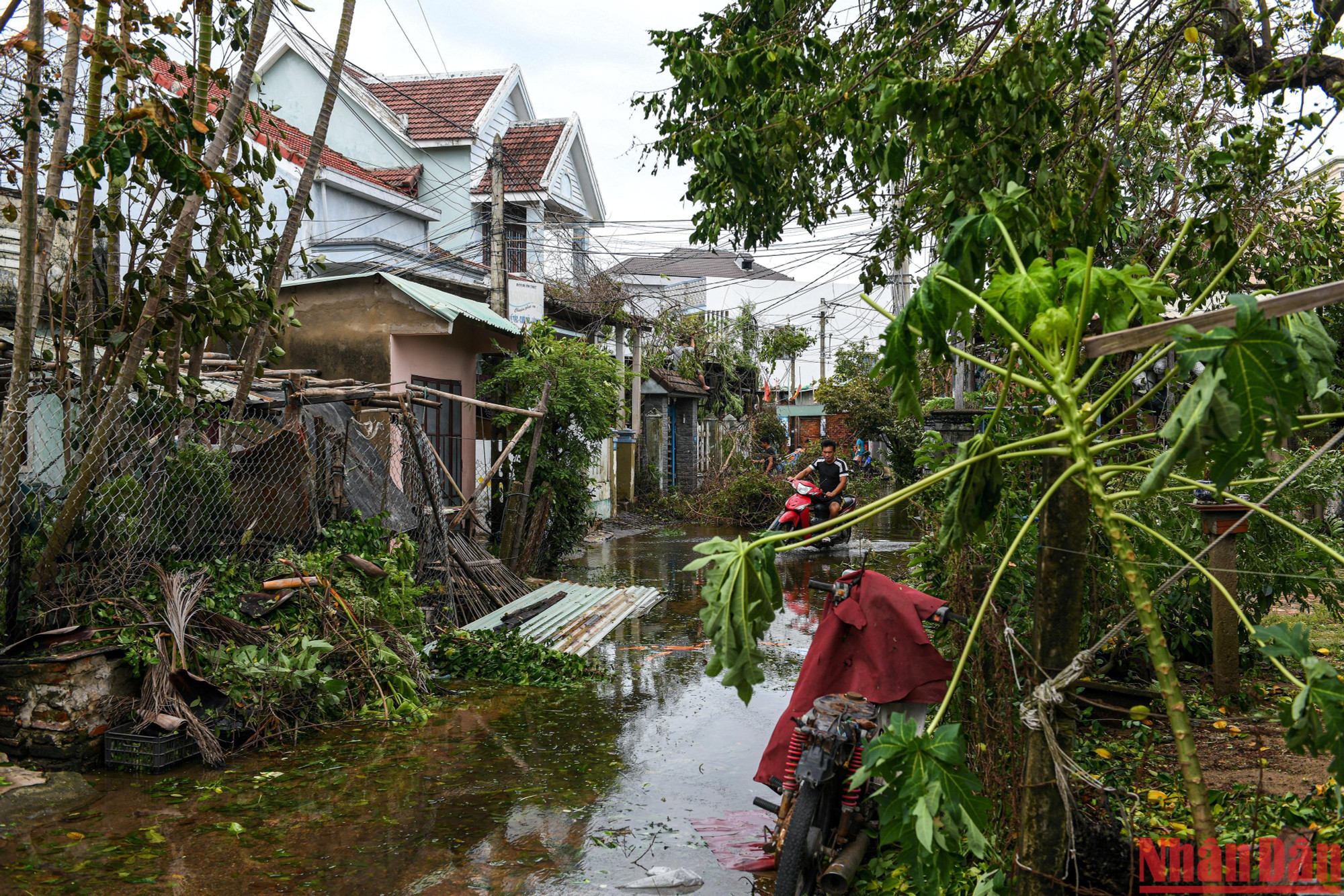 Đã có những tính toán, ước lưọng về thiệt hại lớn của Hội An nhưng sáng nay (28/9), tất cả đã vỡ òa khi đa số hư hại chỉ là cây xanh, tôn lợp, không có ai bị thương hay thiệt mạng.