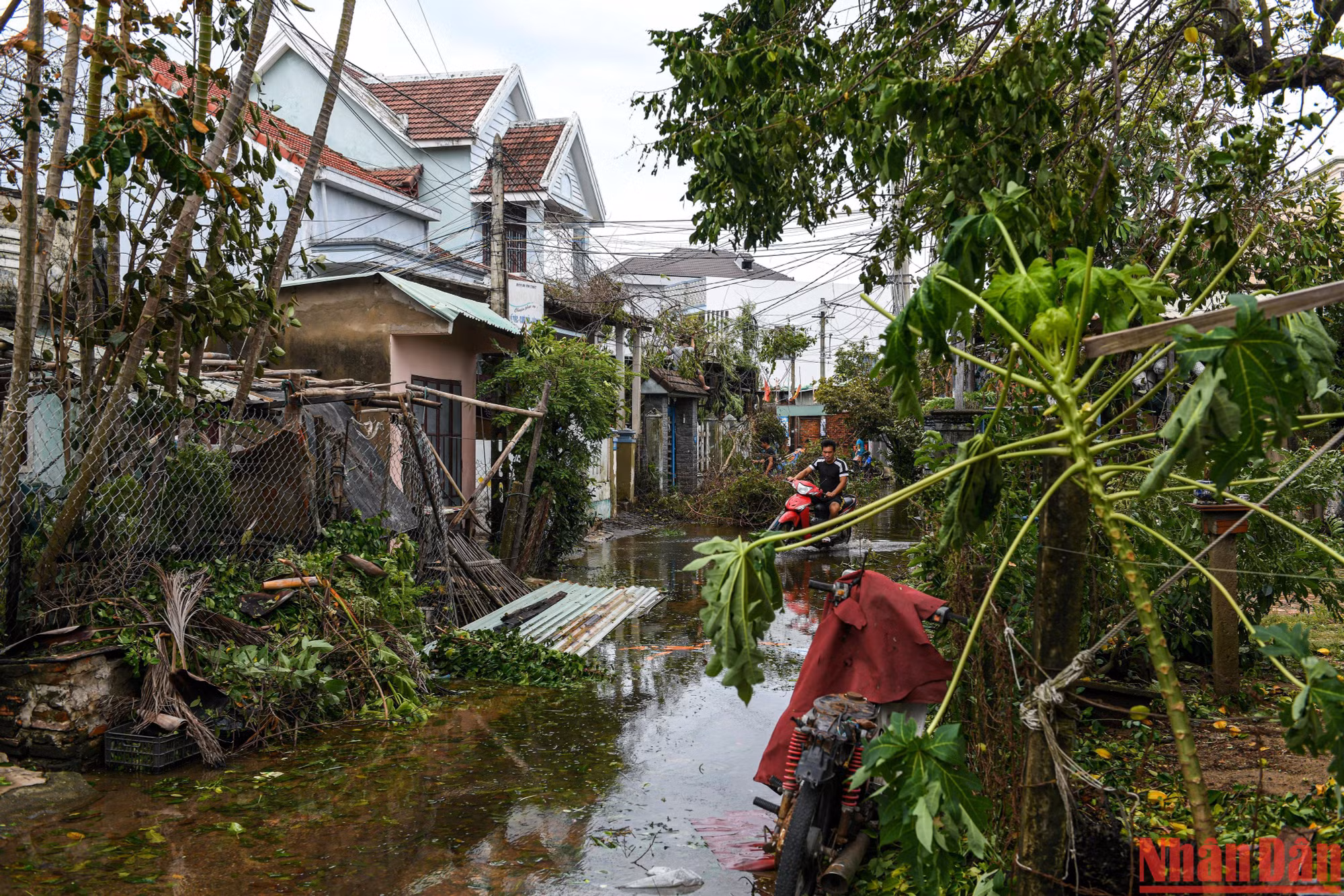 Đã có những tính toán, ước lưọng về thiệt hại lớn của Hội An nhưng sáng nay (28/9), tất cả đã vỡ òa khi đa số hư hại chỉ là cây xanh, tôn lợp, không có ai bị thương hay thiệt mạng.