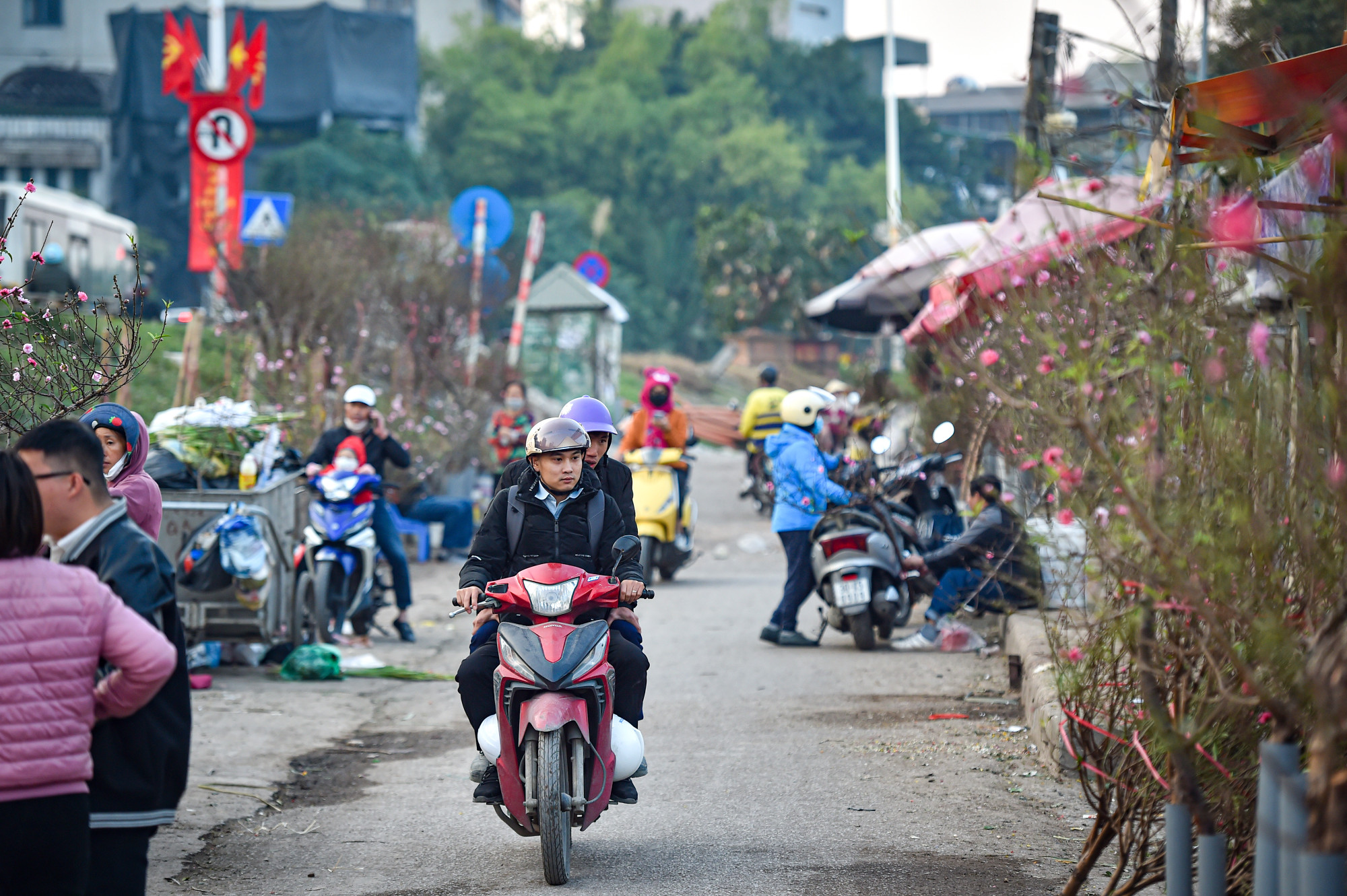 Người dân Thủ đô đã bắt đầu đi mua đào sớm tại chợ hoa Quảng An.