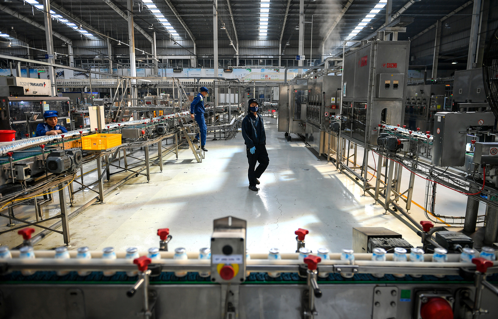 Chuỗi sản xuất khép kín tại các nhà máy sản xuất sữa tươi TH.