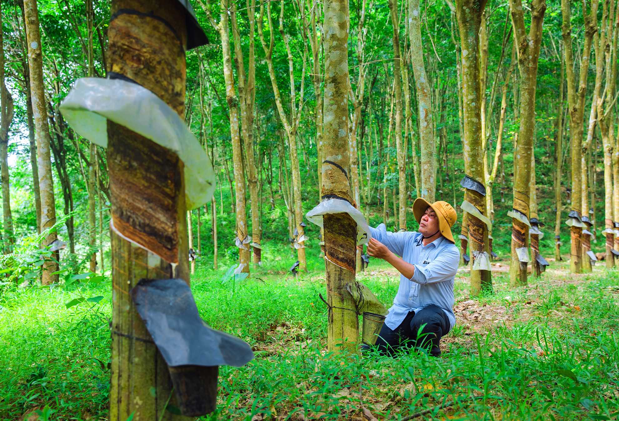 [Ảnh] Khởi sắc ở vùng quê giàu truyền thống cách mạng ảnh 6