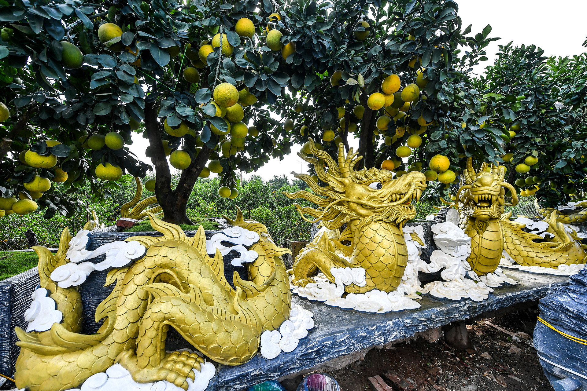 Tác phẩm khác mang tên "Song long chầu nguyệt" có chiều dài 5,6m, được rao bán hơn 200 triệu đồng.