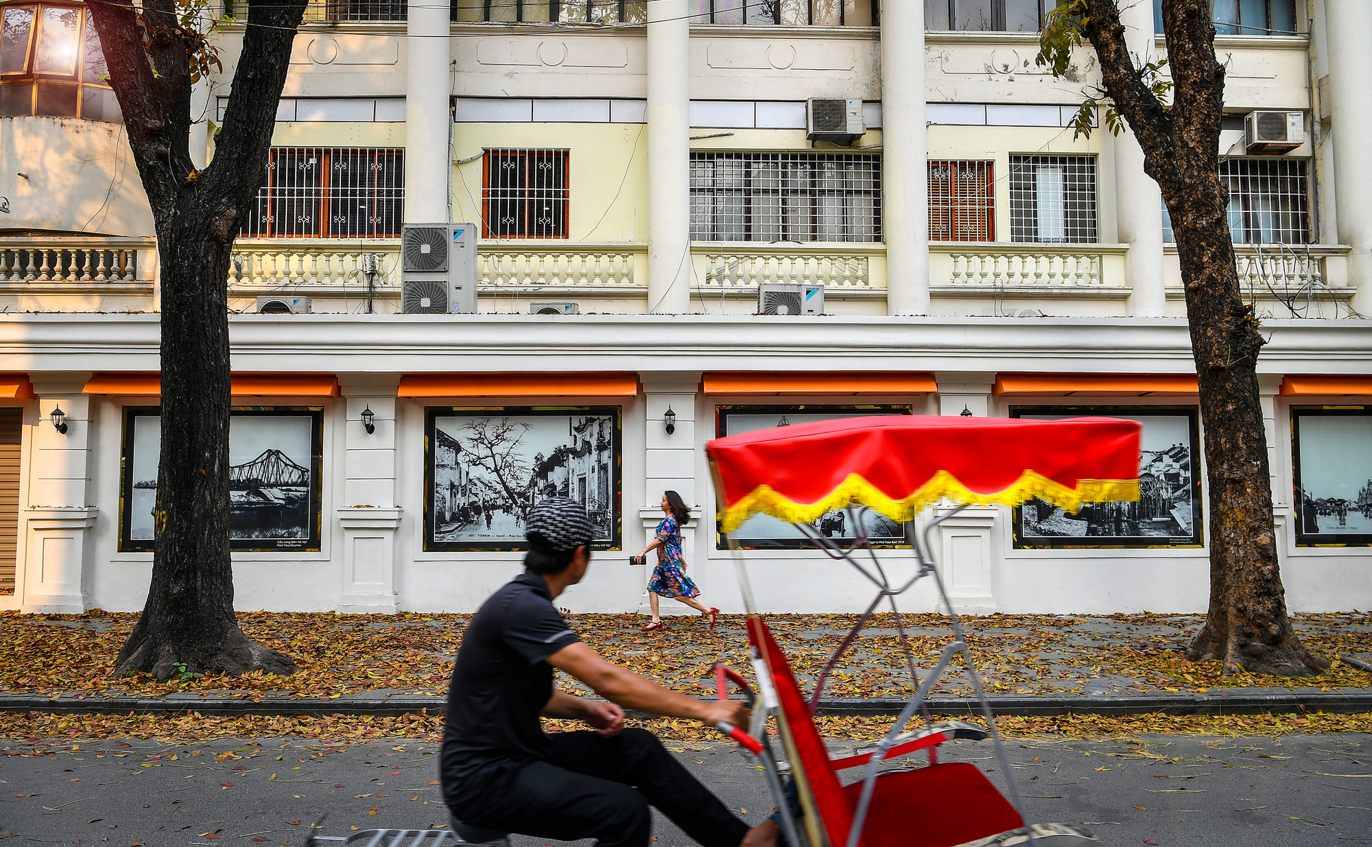 [Ảnh] "Con đường lá vàng" tuyệt đẹp bên ngoài tòa soạn Báo Nhân Dân ảnh 15