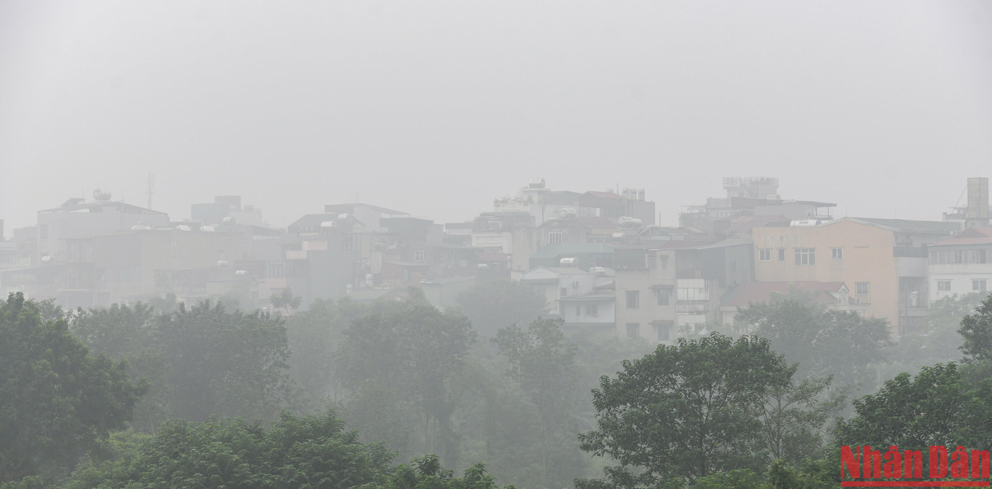 Những ngôi nhà ven sông Hồng trong màn sương dày đặc khiến người dân cảm tưởng như mình đang ở Sapa.