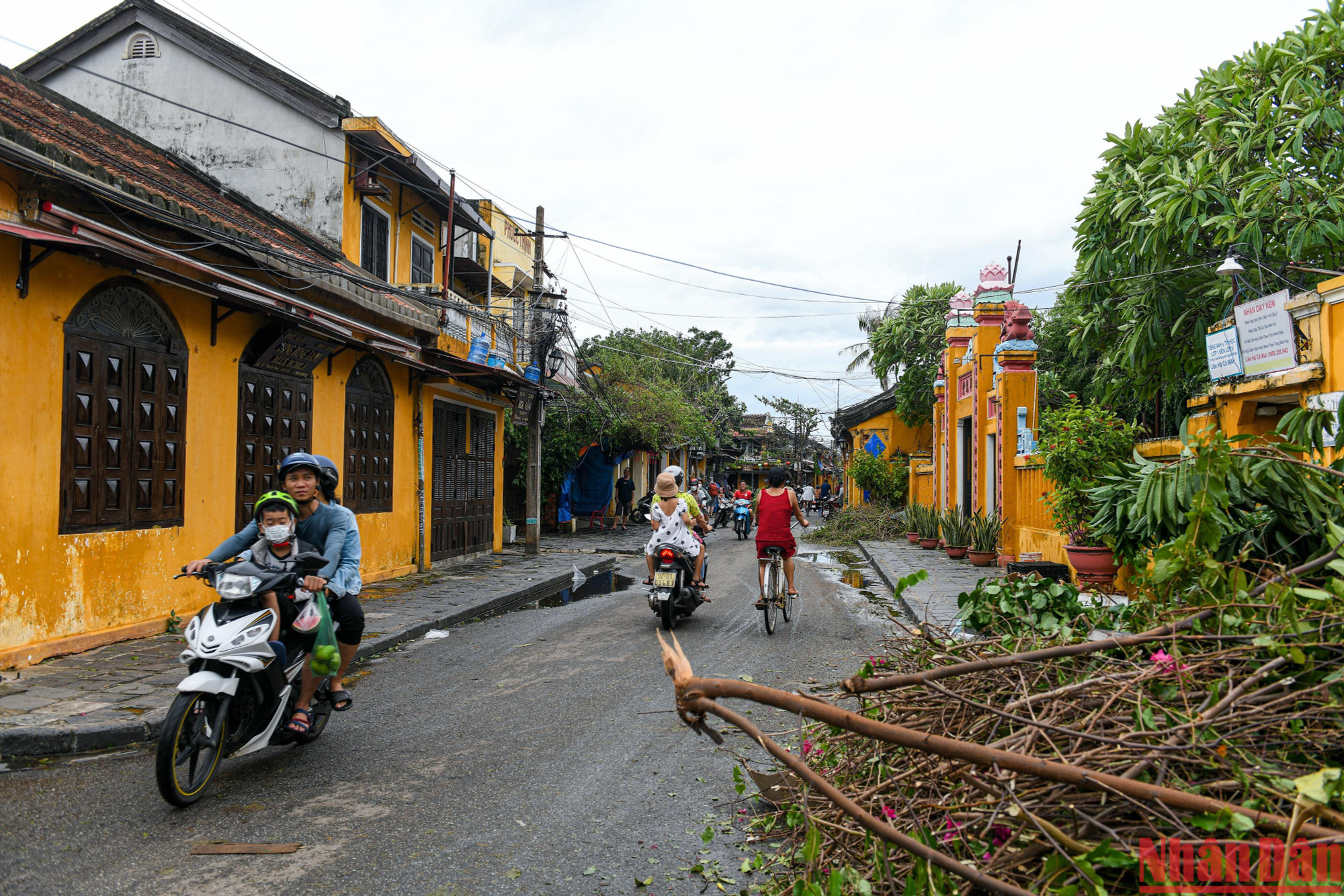Một tuyến đường tại phố cổ Hội An ngổn ngang cây cối gãy đổ sau bão. Sáng nay, tiết trời phố cổ vẫn mưa nhỏ và có gió mạnh.