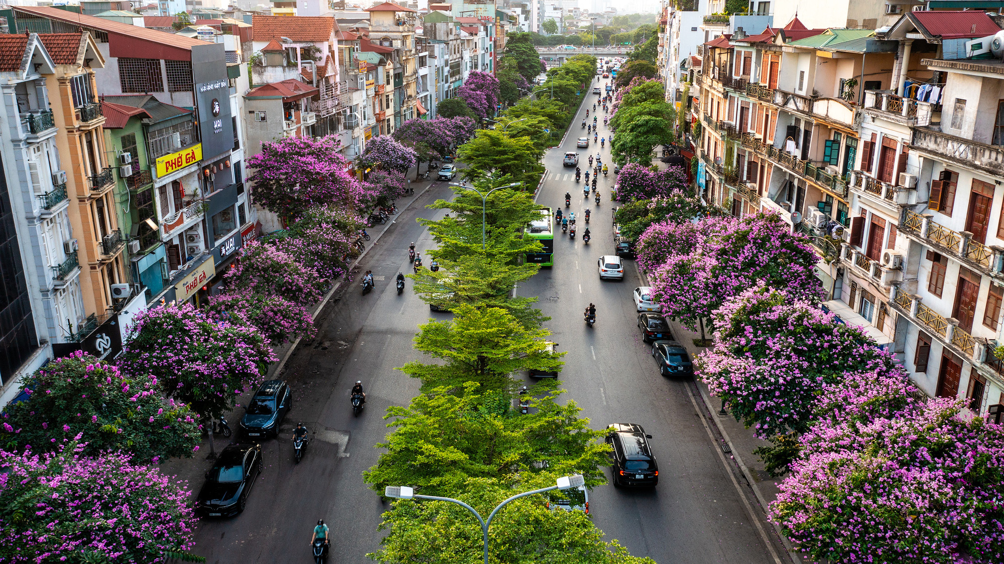 Tháng 5, hoa bằng lăng bắt đầu nở rộ, đặc biệt ở những tuyến đường rợp trong màu tím của hoa bằng lăng như Kim Mã, Văn Cao, Nguyễn Khánh Toàn, Hoàng Quốc Việt, Trần Thái Tông, Duy Tân, Đào Tấn, Kim Mã, Nguyễn Chánh, hồ Hoàng Cầu, hồ Gươm... tạo nên cảnh sắc cực kỳ ấn tượng. Trong ảnh là hoa bằng lăng "nhuộm tím" đường Đào Tấn.