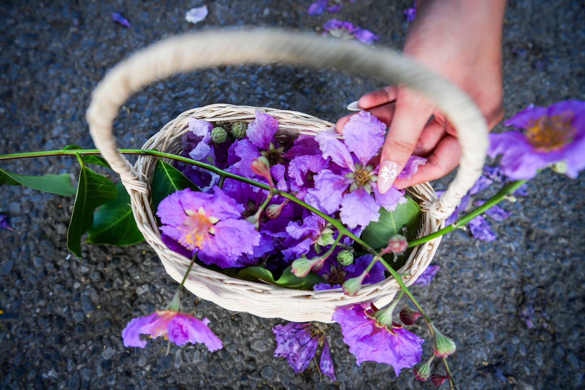 Một số người còn mang thêm cả đạo cụ để có những bức ảnh đẹp nhất.