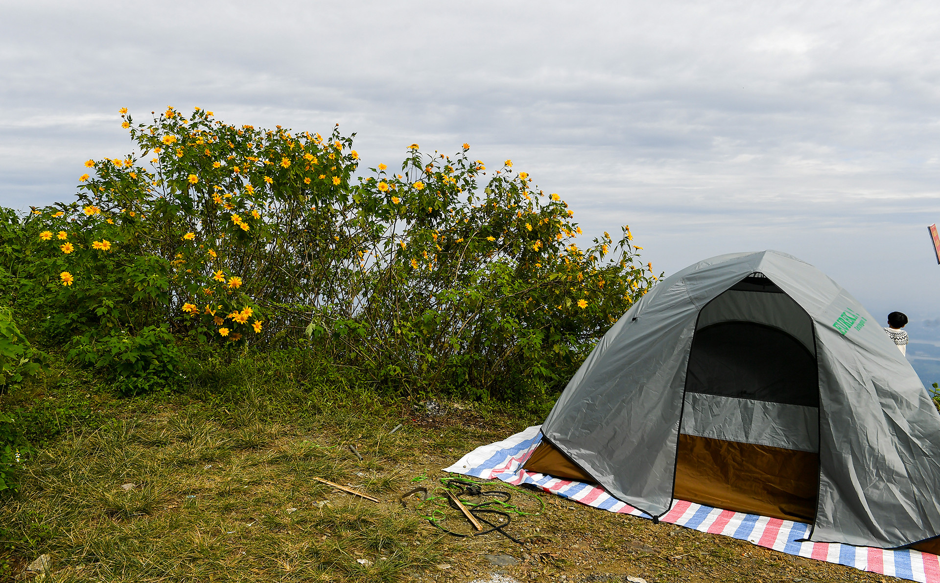 [Ảnh] Giới trẻ thích thú với rừng hoa dã quỳ ở Ba Vì ảnh 12