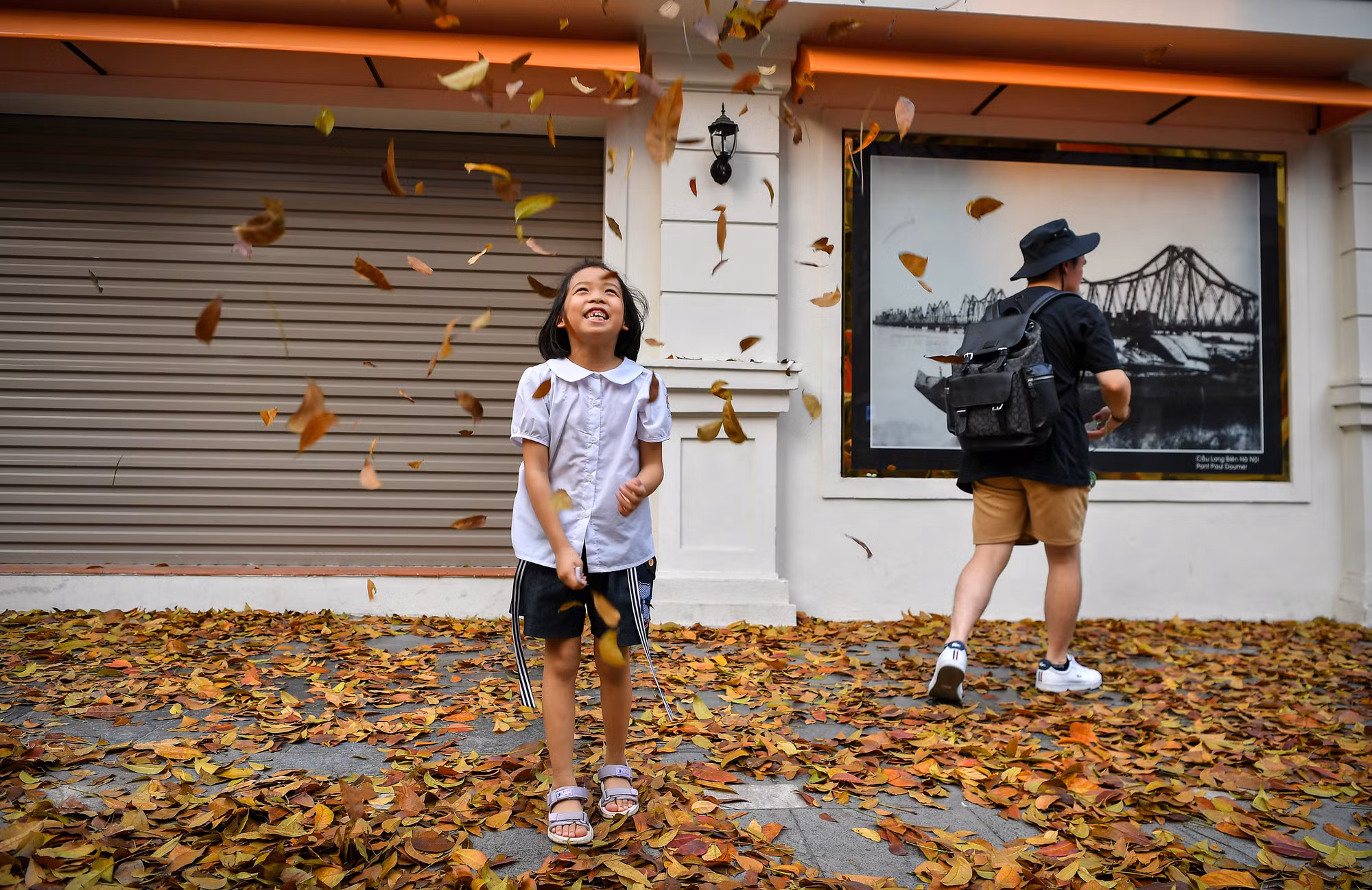 [Ảnh] "Con đường lá vàng" tuyệt đẹp bên ngoài tòa soạn Báo Nhân Dân ảnh 11