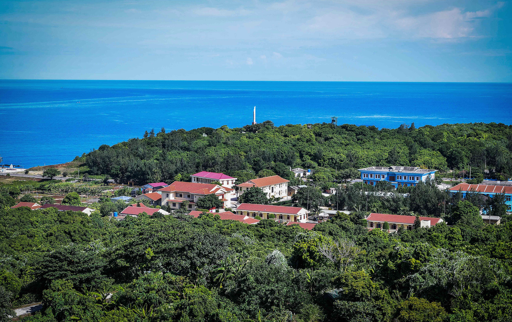 Mặc dù từng bị chiến tranh tàn phá nhưng đến nay, rừng nguyên sinh trên đảo Cồn Cỏ vẫn còn gần như nguyên vẹn và thuộc hệ sinh thái rừng nhiệt đới quý hiếm với ba tầng cây cỏ, dây leo và thảm thực vật phong phú.