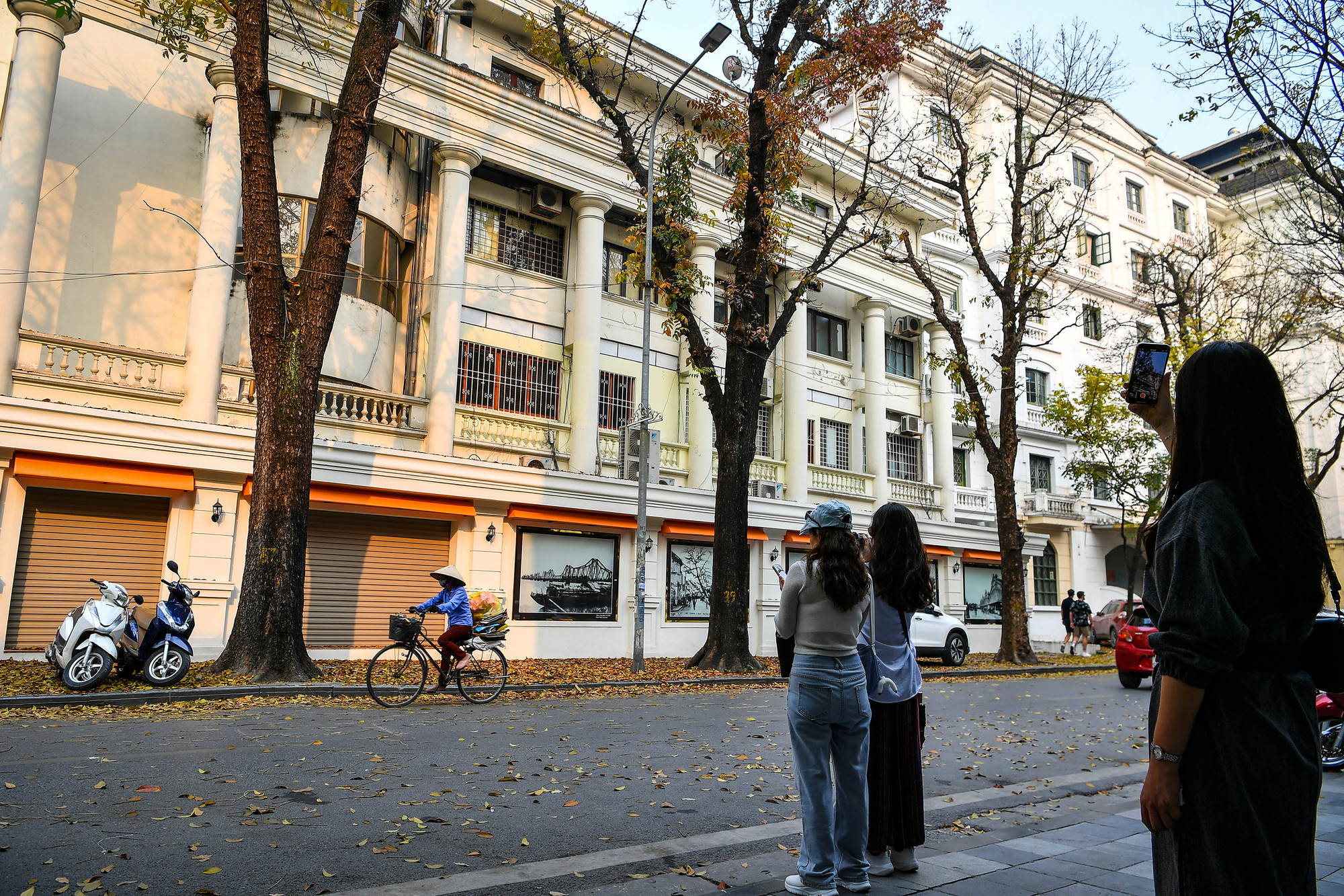 [Ảnh] "Con đường lá vàng" tuyệt đẹp bên ngoài tòa soạn Báo Nhân Dân ảnh 14