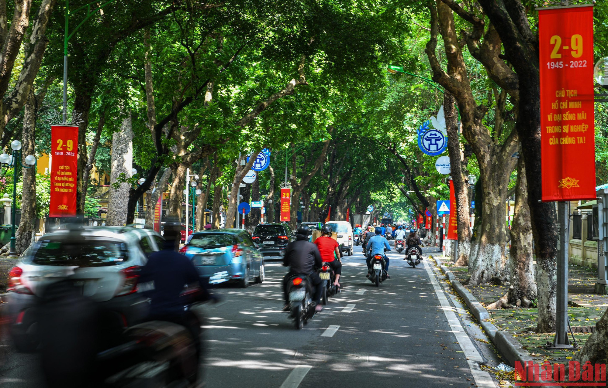 Sắc đỏ rực rỡ trải dài từ khắp các con đường lớn như Thanh Niên, Chu Văn An, Hoàng Diệu, Phan Đình Phùng…