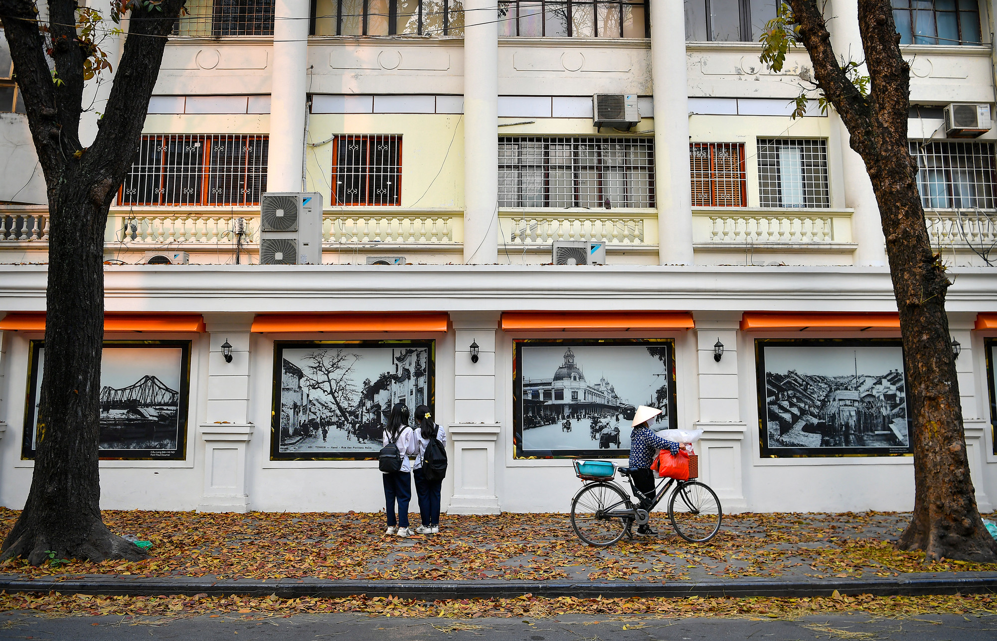 [Ảnh] "Con đường lá vàng" tuyệt đẹp bên ngoài tòa soạn Báo Nhân Dân ảnh 1