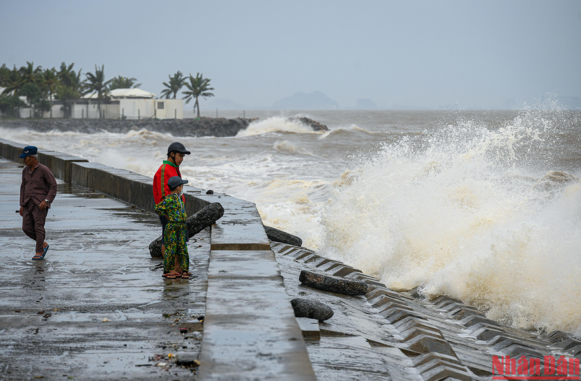 Sau khi cơn bão đi qua ghi nhận biển động, sóng đánh cao hơn 3m.