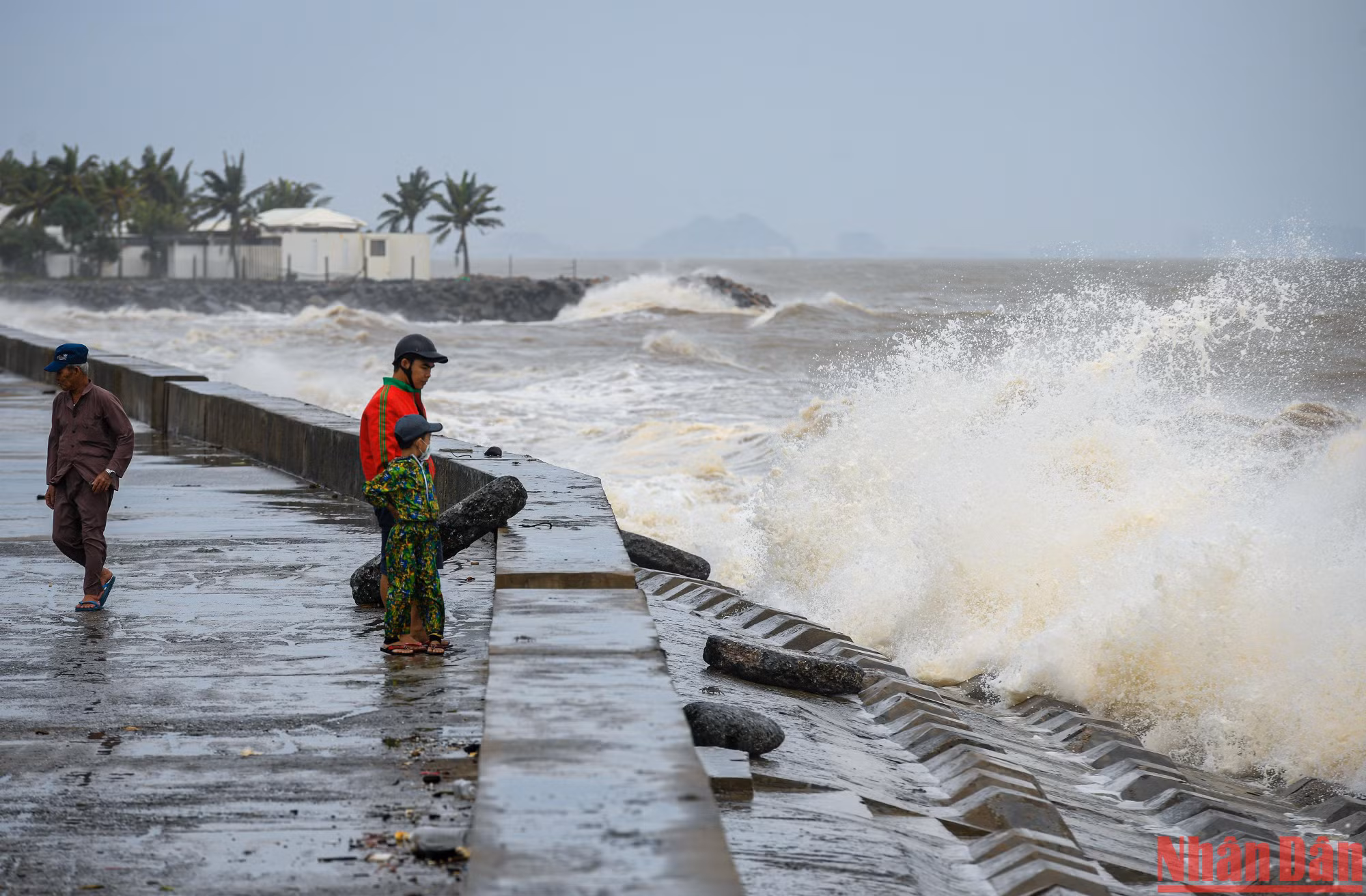 Sau khi cơn bão đi qua ghi nhận biển động, sóng đánh cao hơn 3m.