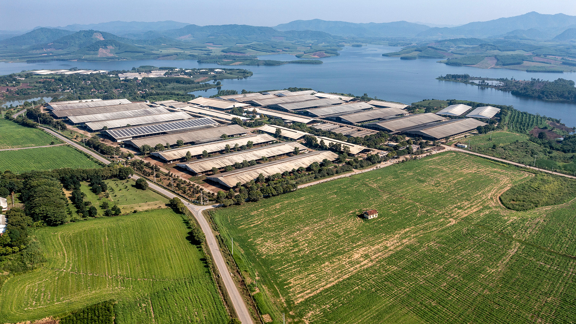 Năm 2020, Trang trại TH đã được Liên minh Kỷ lục Thế giới (World Records Union) chứng nhận đạt kỷ lục “Cụm trang trại chăn nuôi và chế biến sữa công nghệ cao khép kín lớn nhất thế giới.”