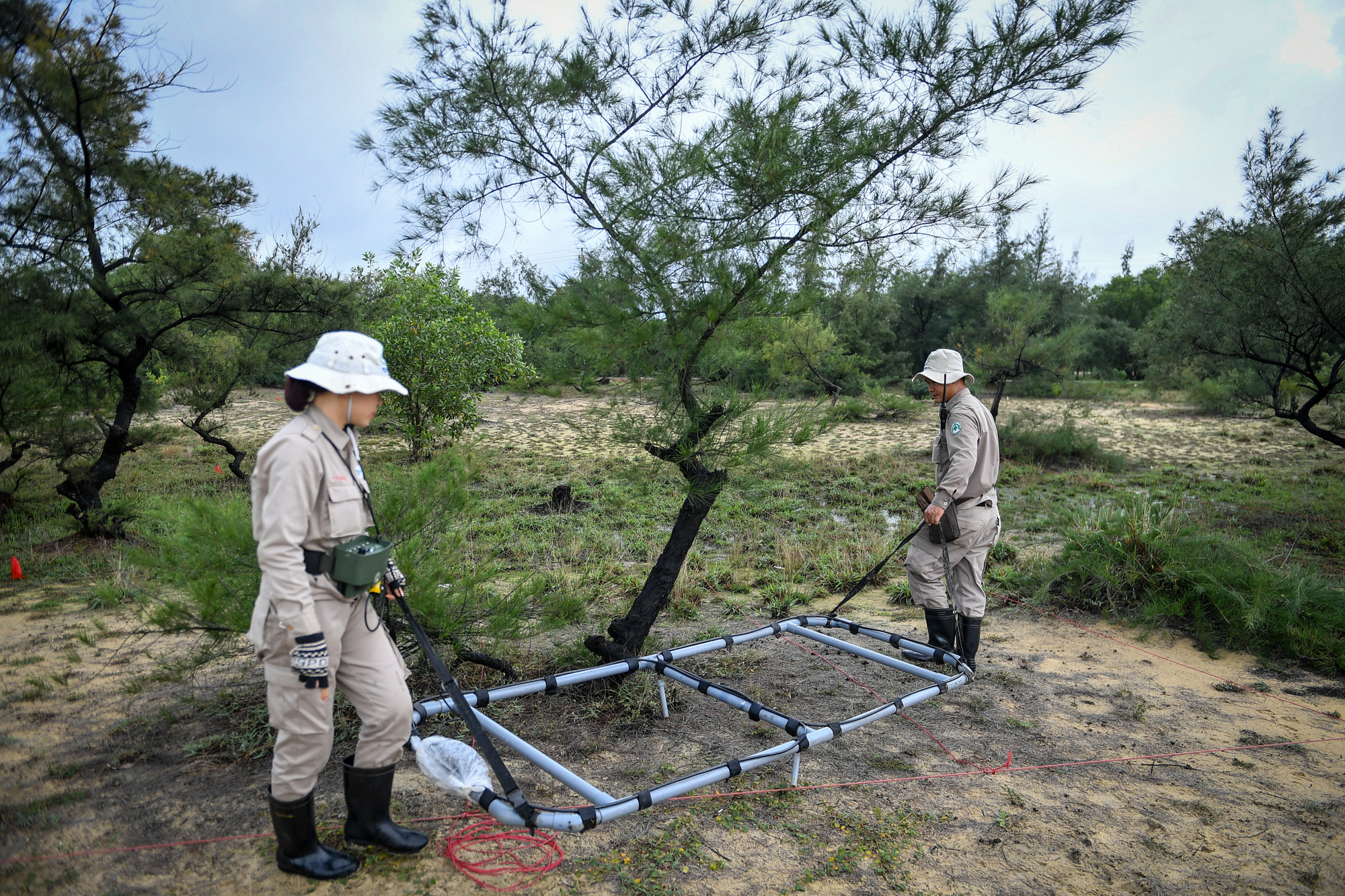 Các nhân viên của NPA/RENEW không bỏ sót bất cứ một tấc đất nào nghi vấn.