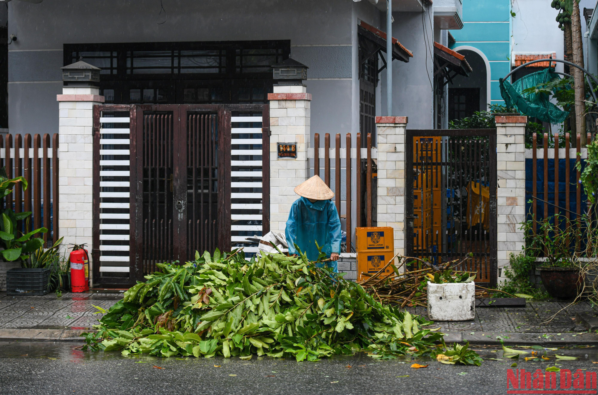 Cắt tỉa các cành cây.