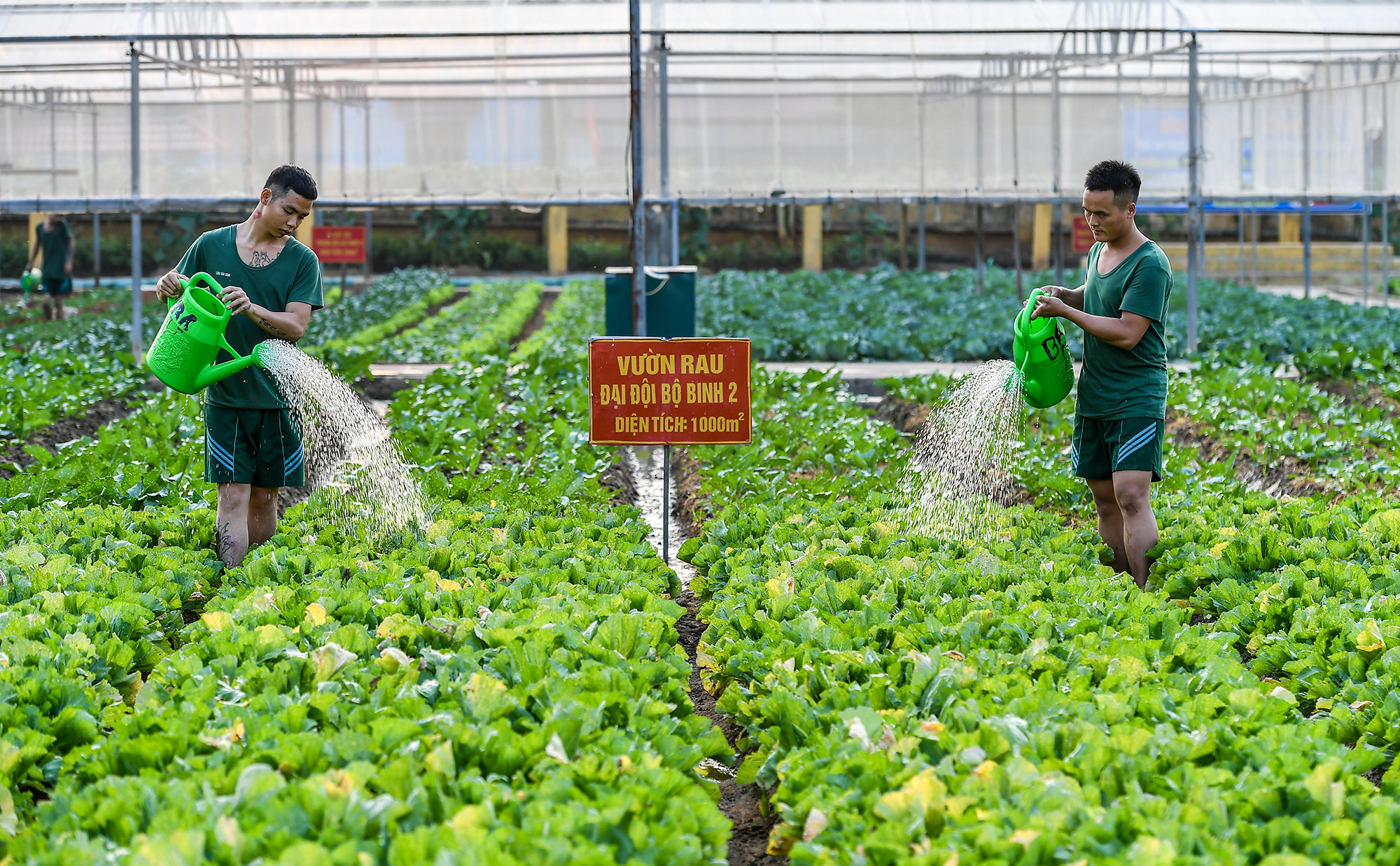 [Ảnh] Lịch sử hào hùng Trung đoàn Bộ binh 141 ảnh 15