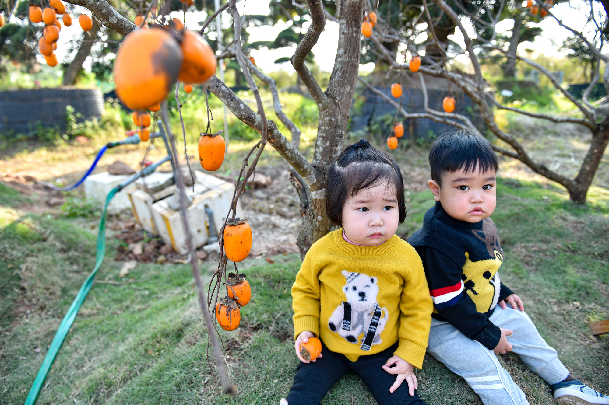 Khoảnh khắc ngộ nghĩnh của 2 em bé bên vườn hồng.