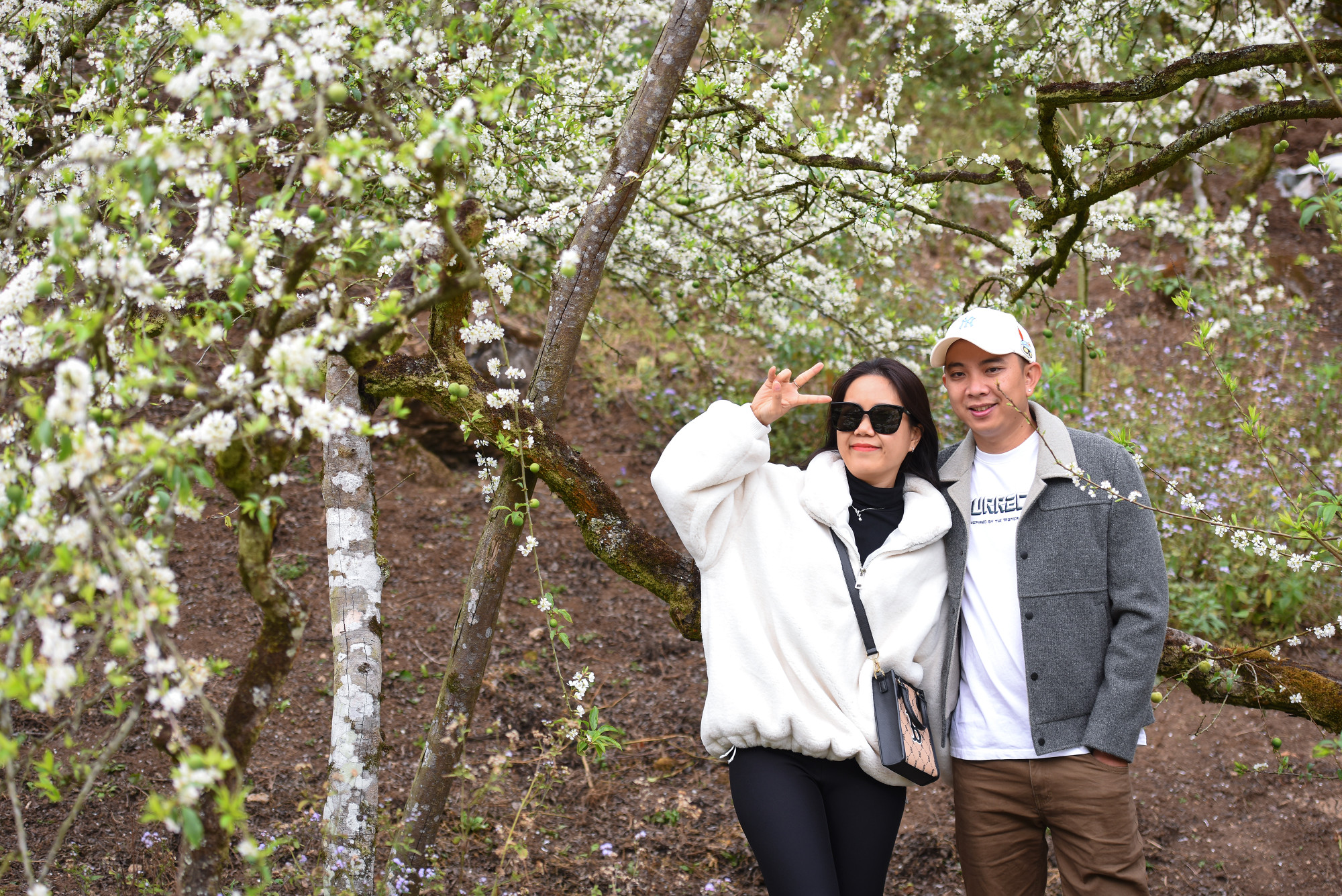 Du khách thập phương từ mọi miền không bỏ lỡ cơ hội tìm đến thung lũng mận Mu Náu để chứng kiến vẻ đẹp mê hồn này.