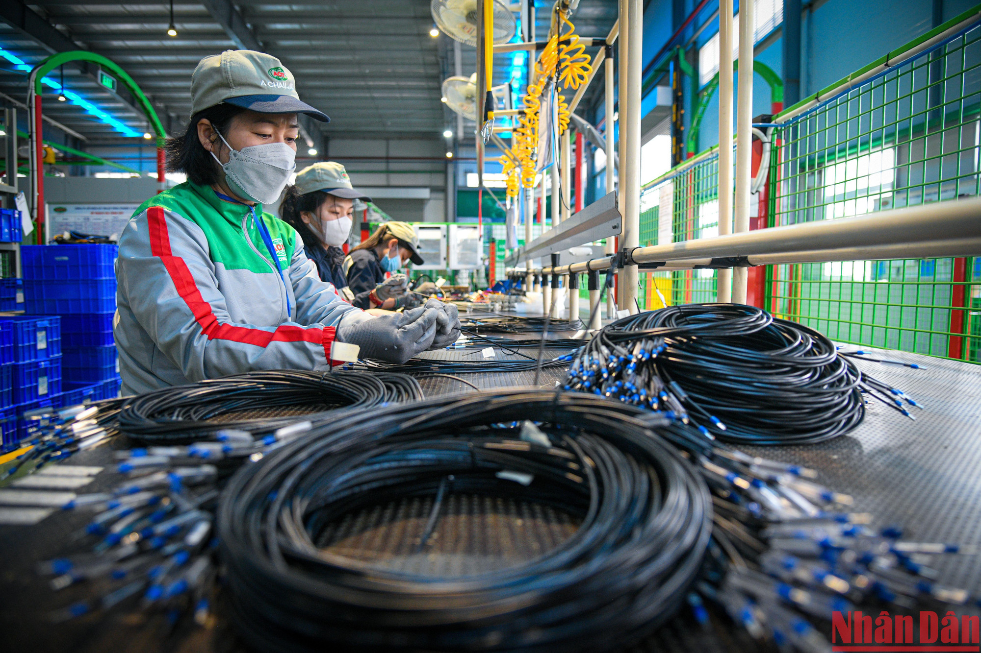 Các công nhân thực hiện quy trình sản xuất dây nhị thứ.