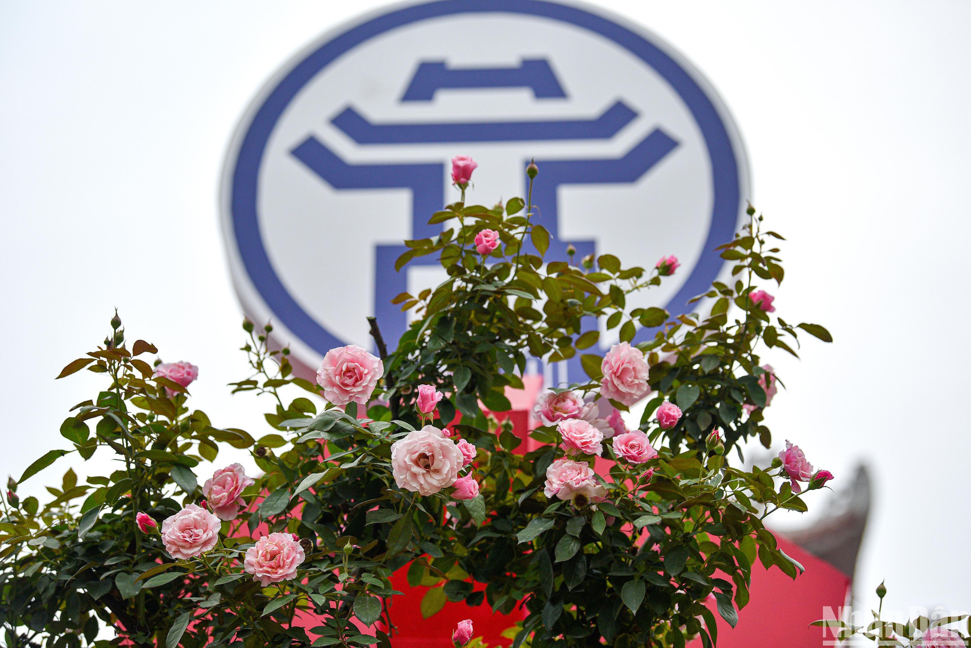 Lễ hội hoa Mê Linh năm 2022 là dịp để kích cầu du lịch cho Thủ đô Hà Nội.