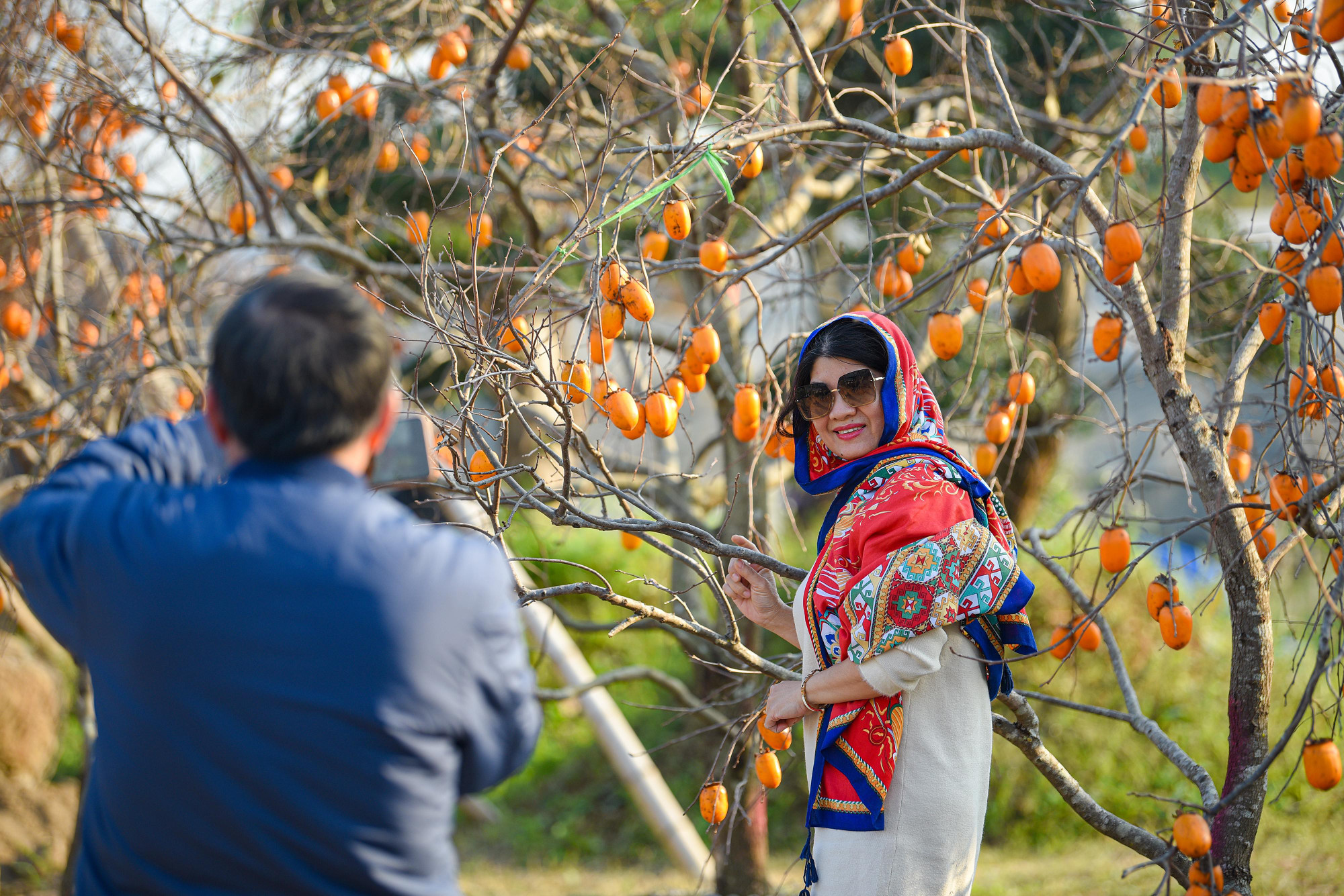 Một du khách chia sẻ: "Tôi không khỏi choáng ngợp khi đi qua đây mà thấy vườn hồng như ở núi rừng Tây Bắc, phải tranh thủ vào chụp hình ngay"
