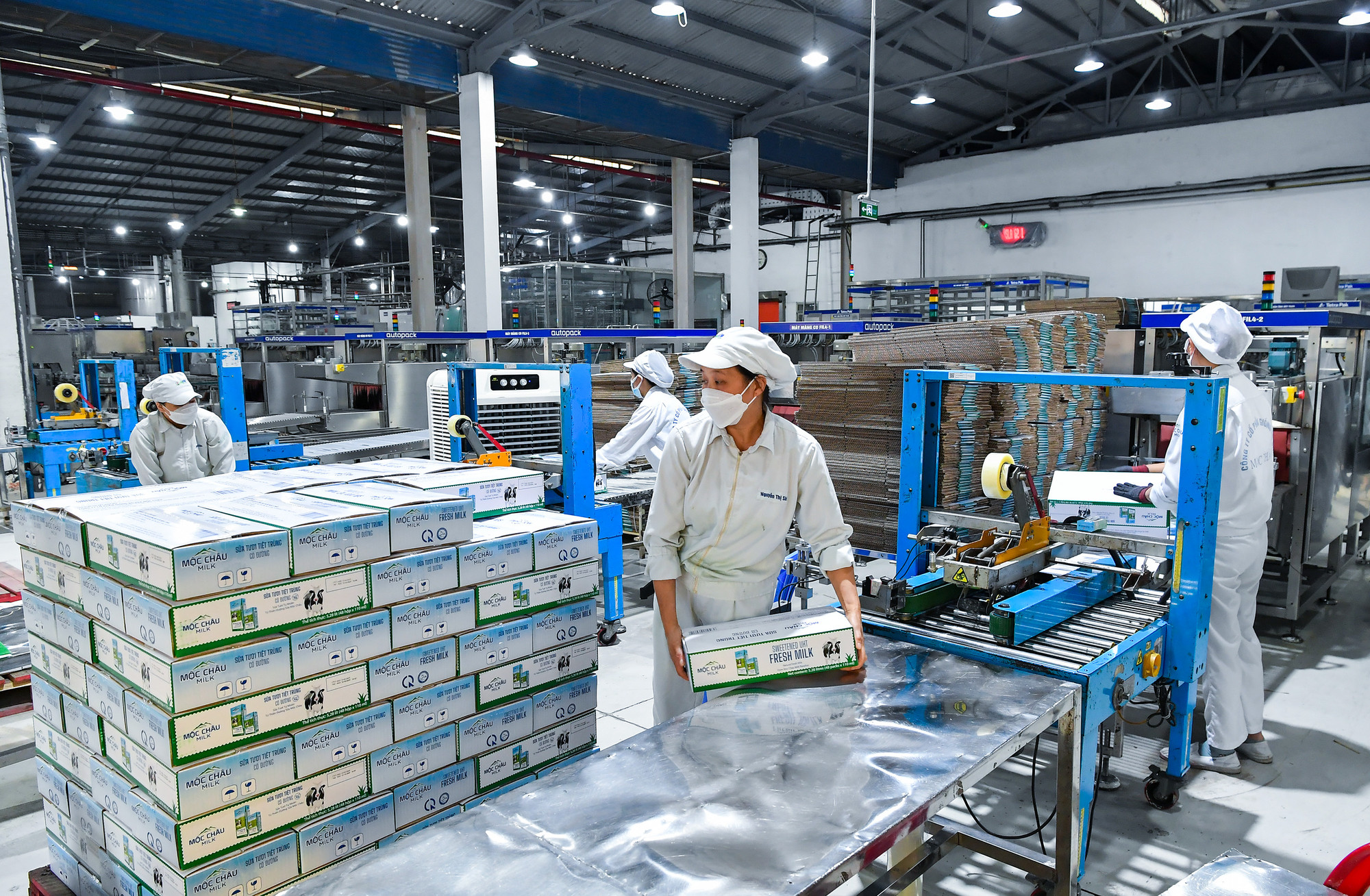 Những công đoạn đóng gói cuối cùng để xuất xưởng sản phẩm của Mộc Châu Milk.